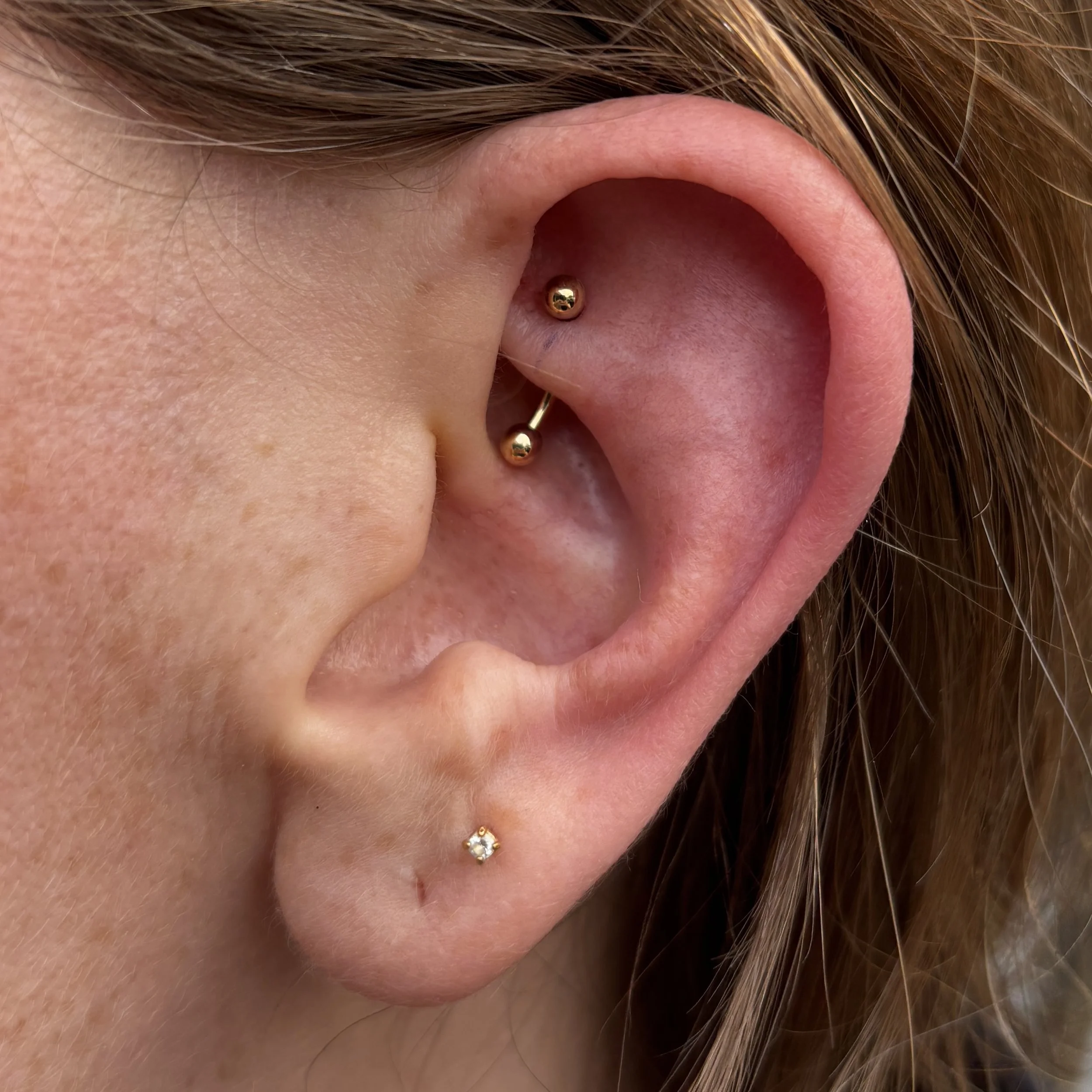 Rook