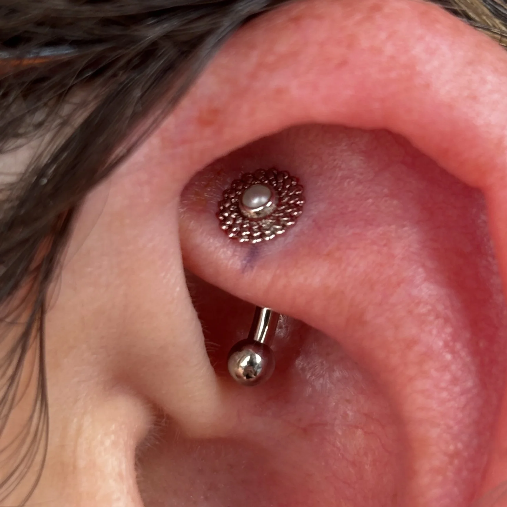 Rook