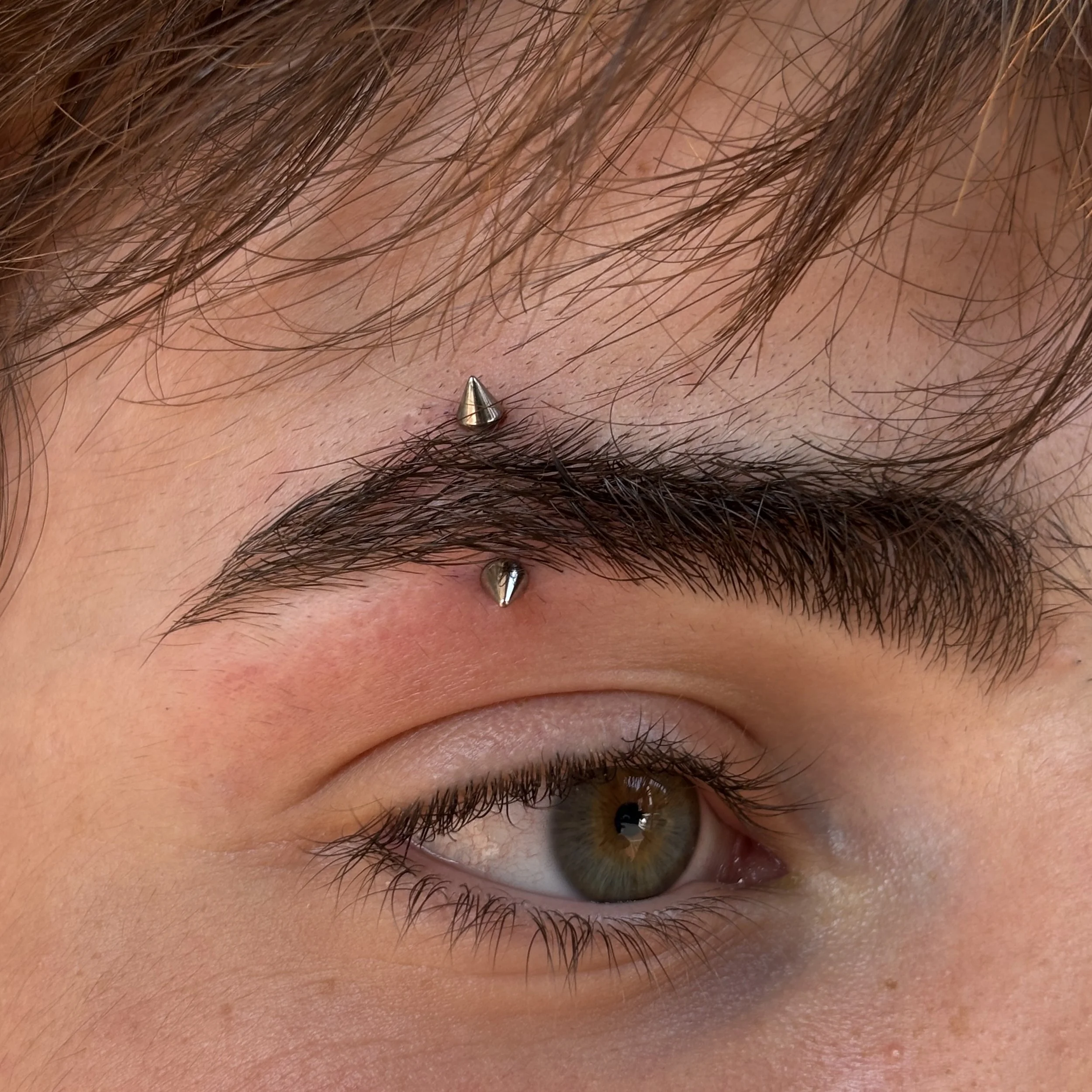 Fresh Eyebrow