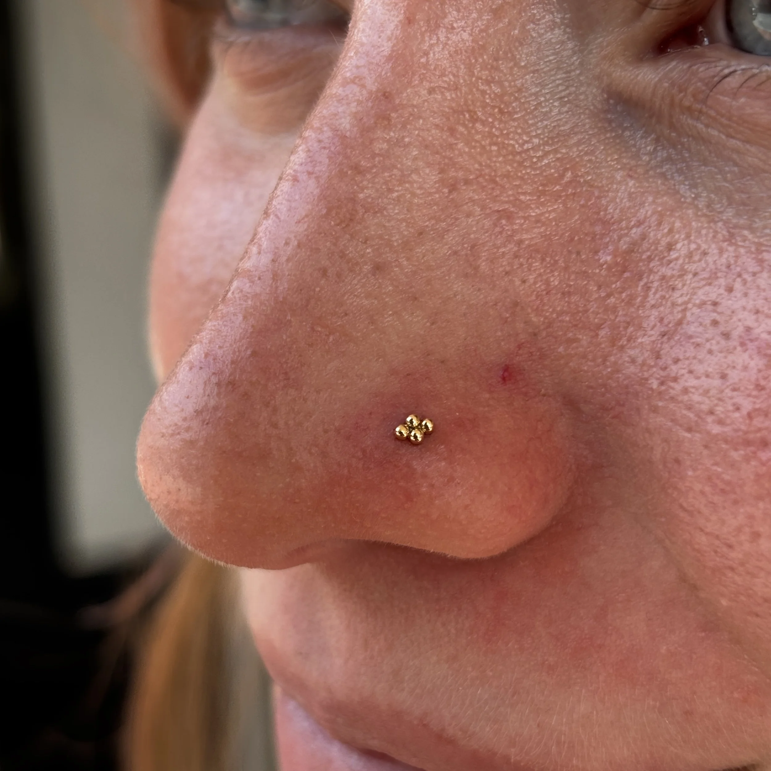 Nostril 6a.JPEG