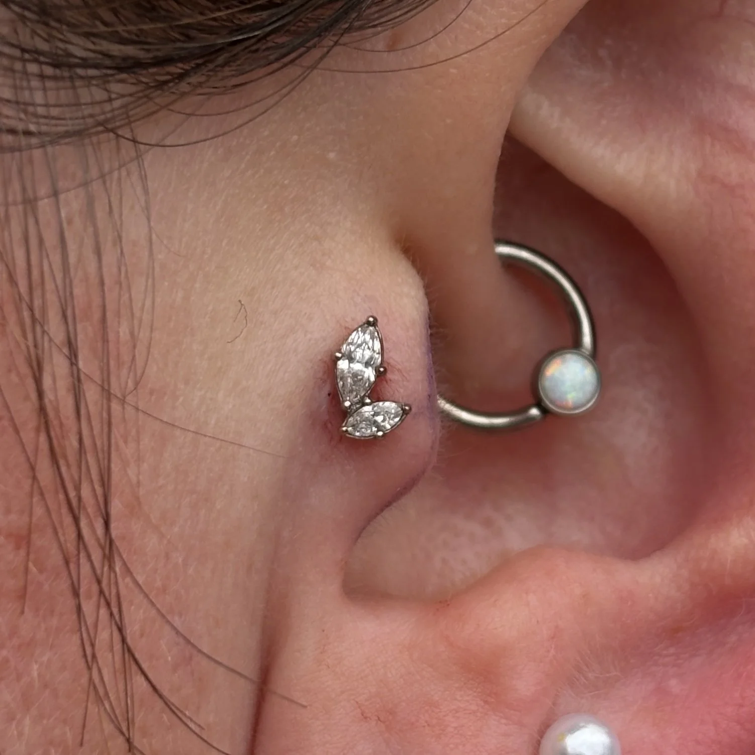 Tragus
