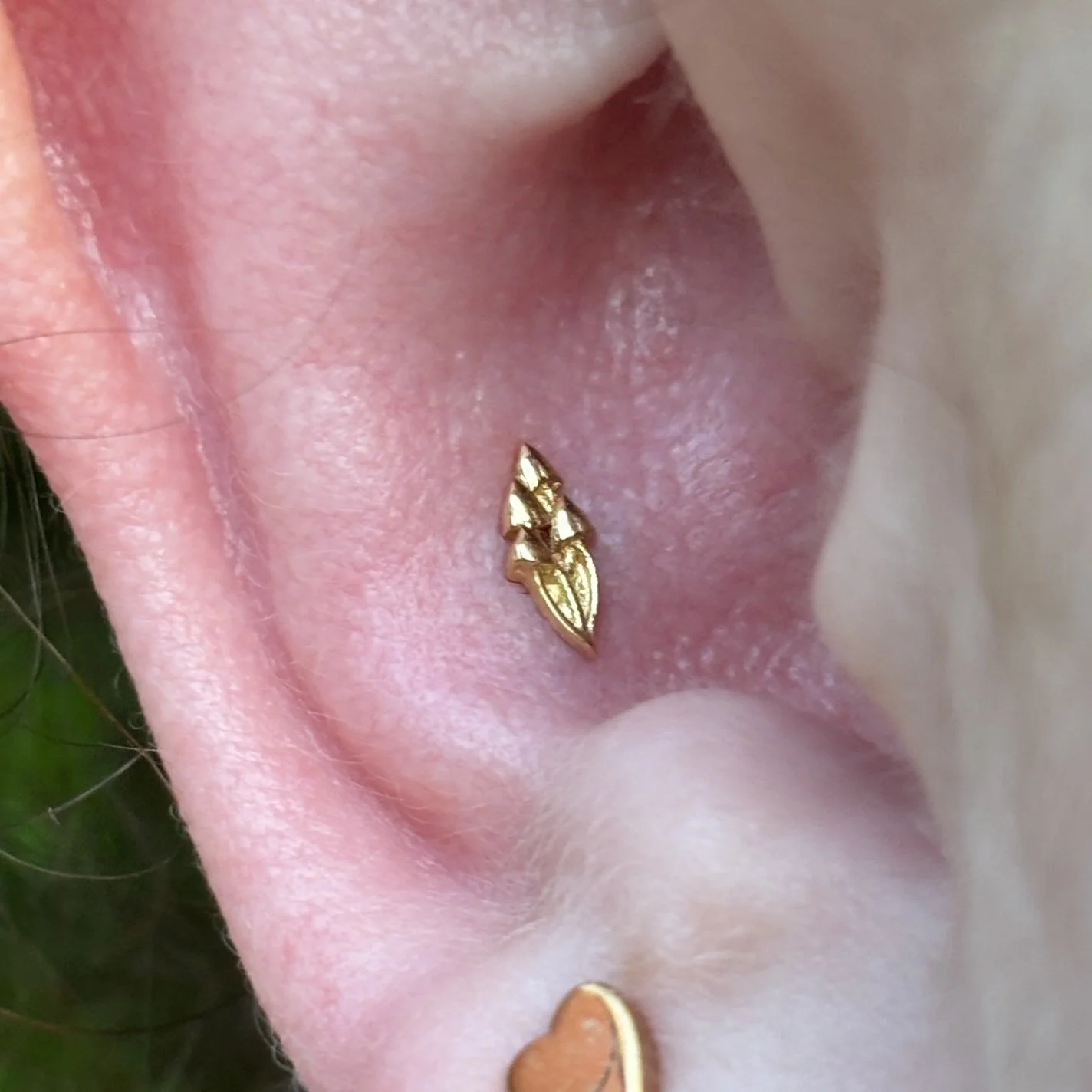 Conch
