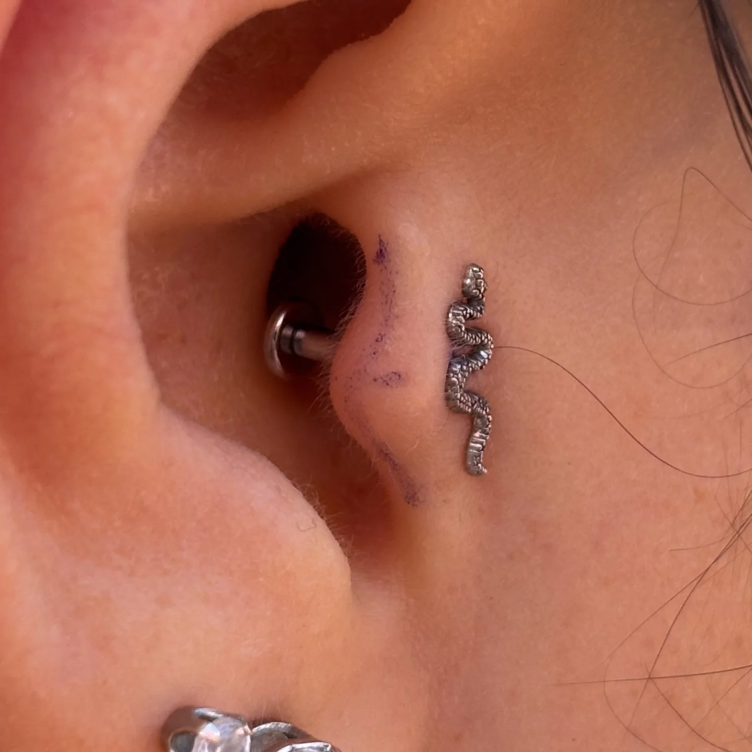 Tragus