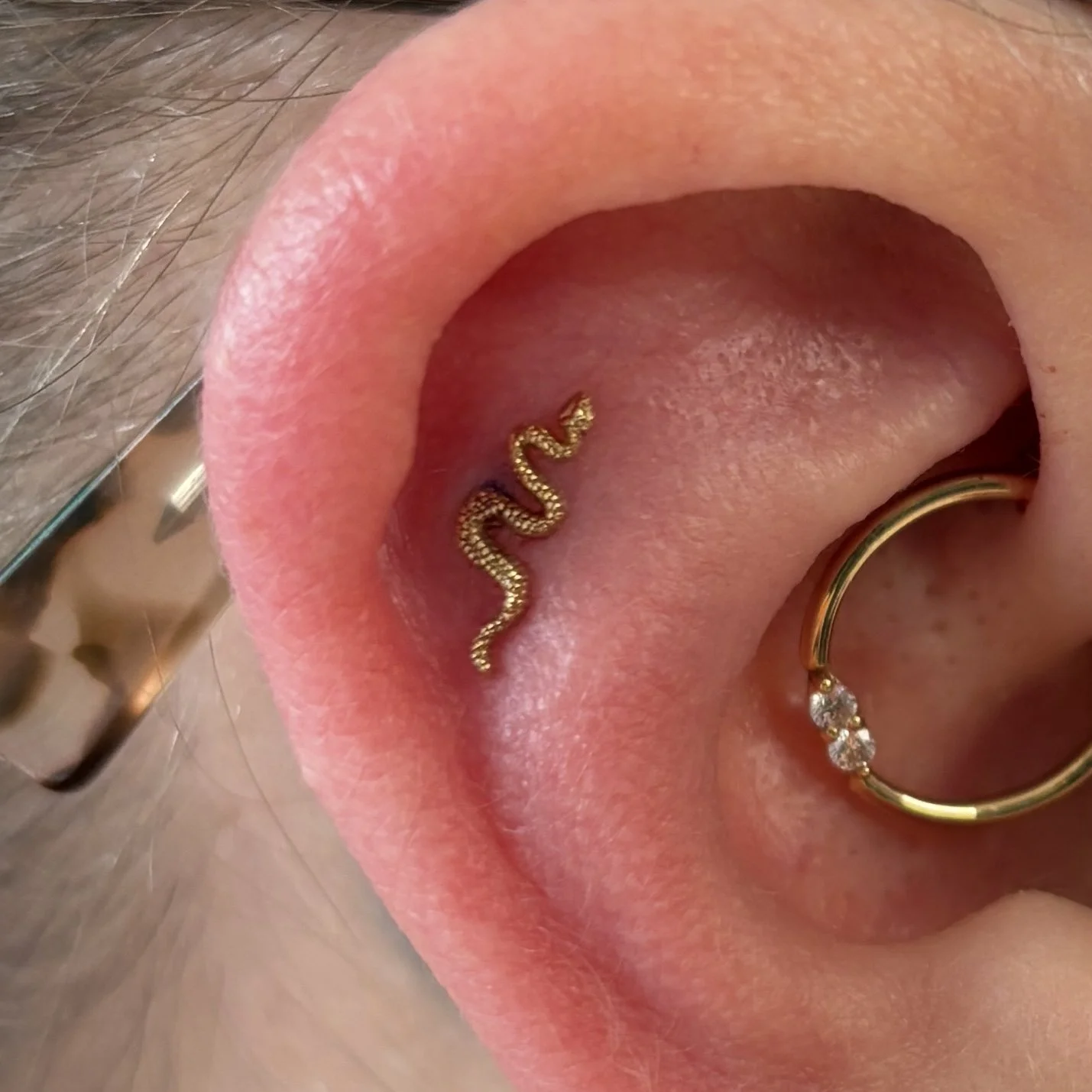Daith & Outer Helix