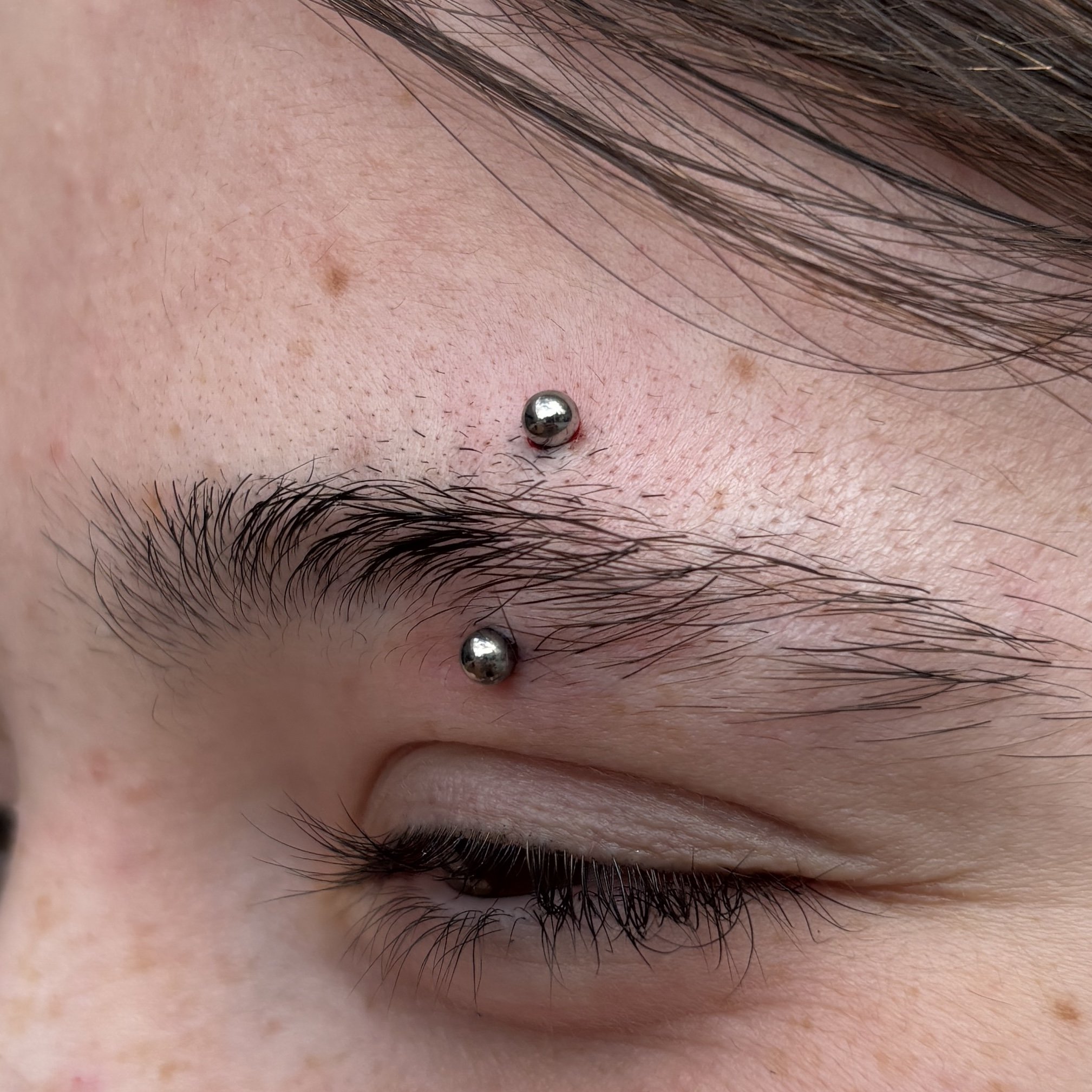 Fresh Eyebrow