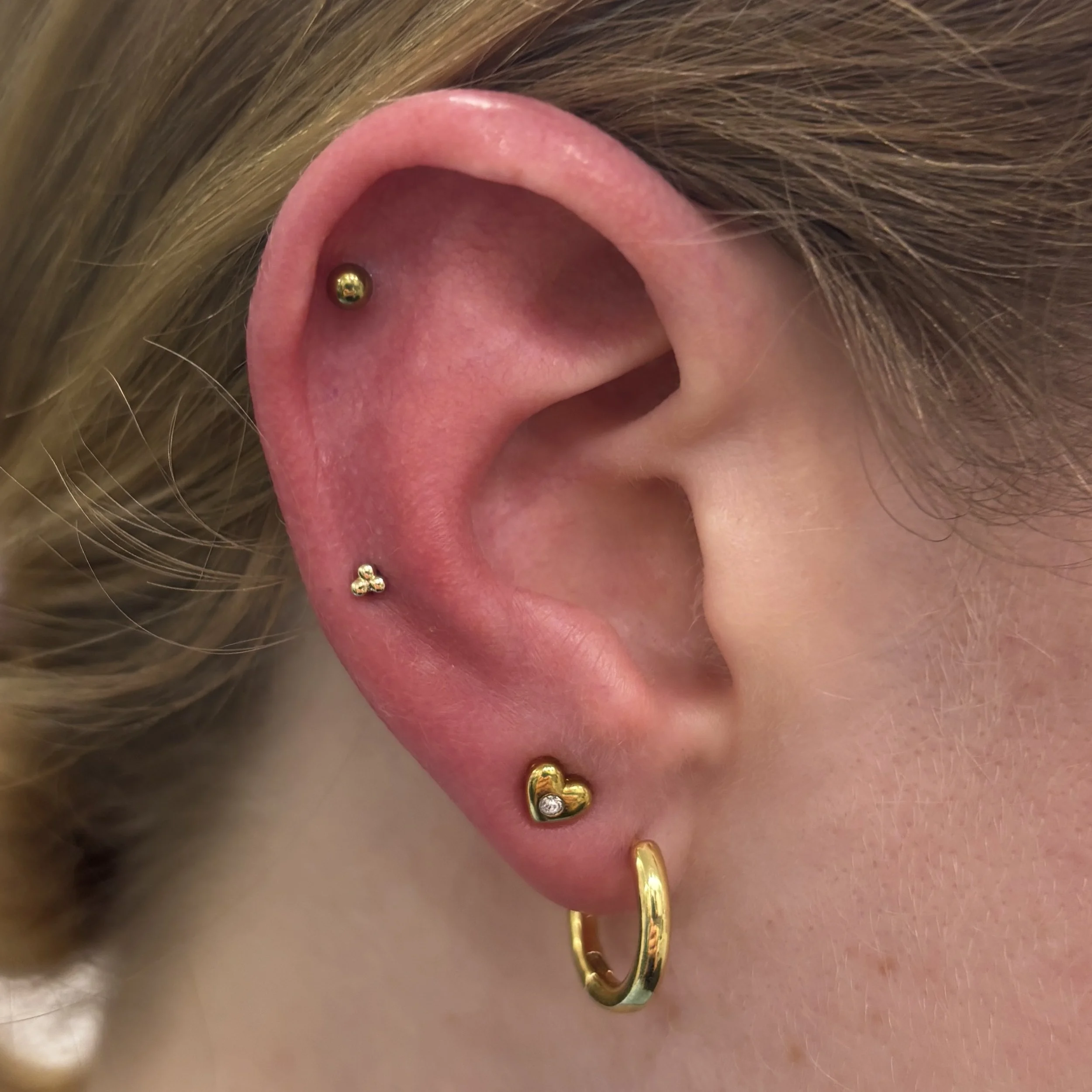 Outer Helix & Mid-Helix