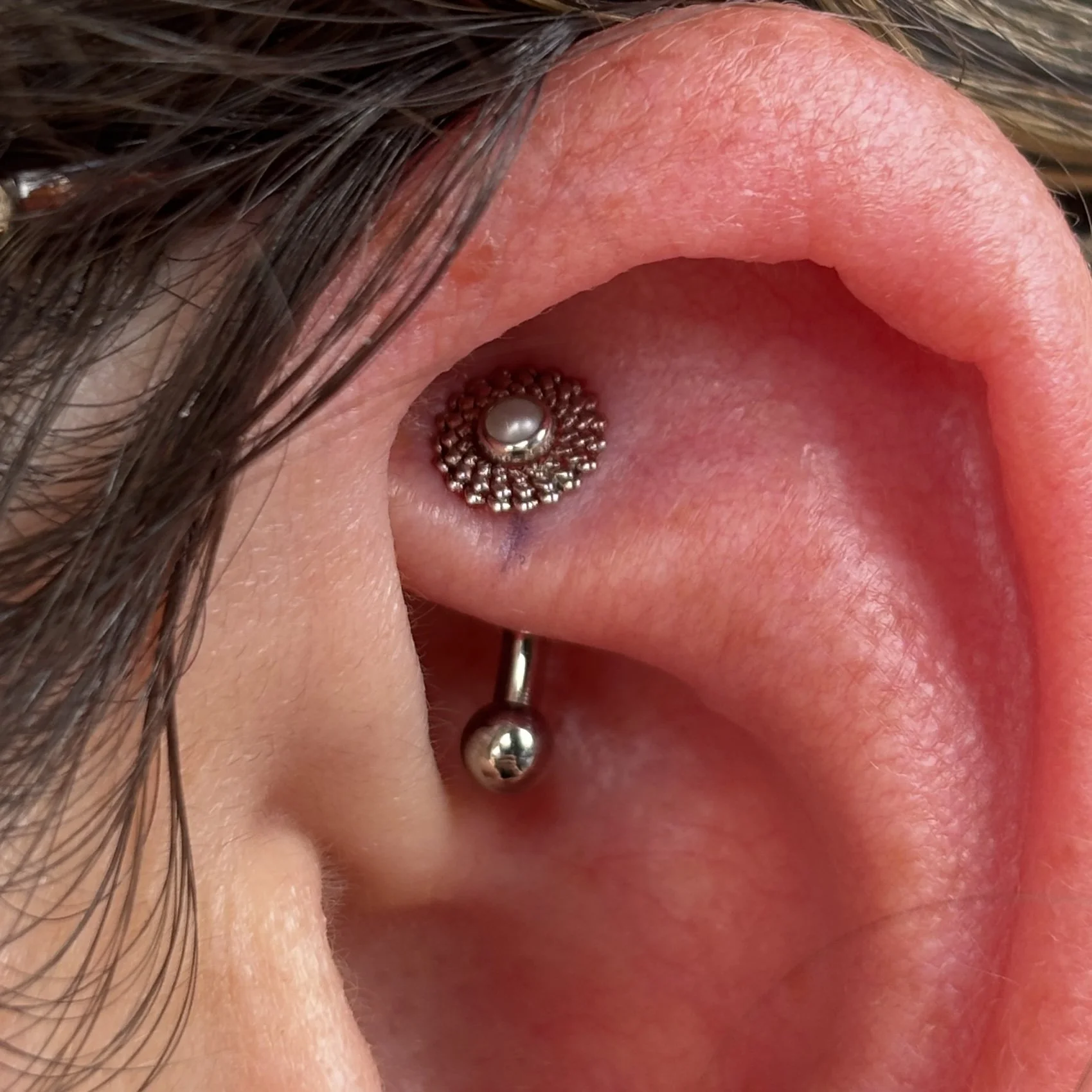 Rook