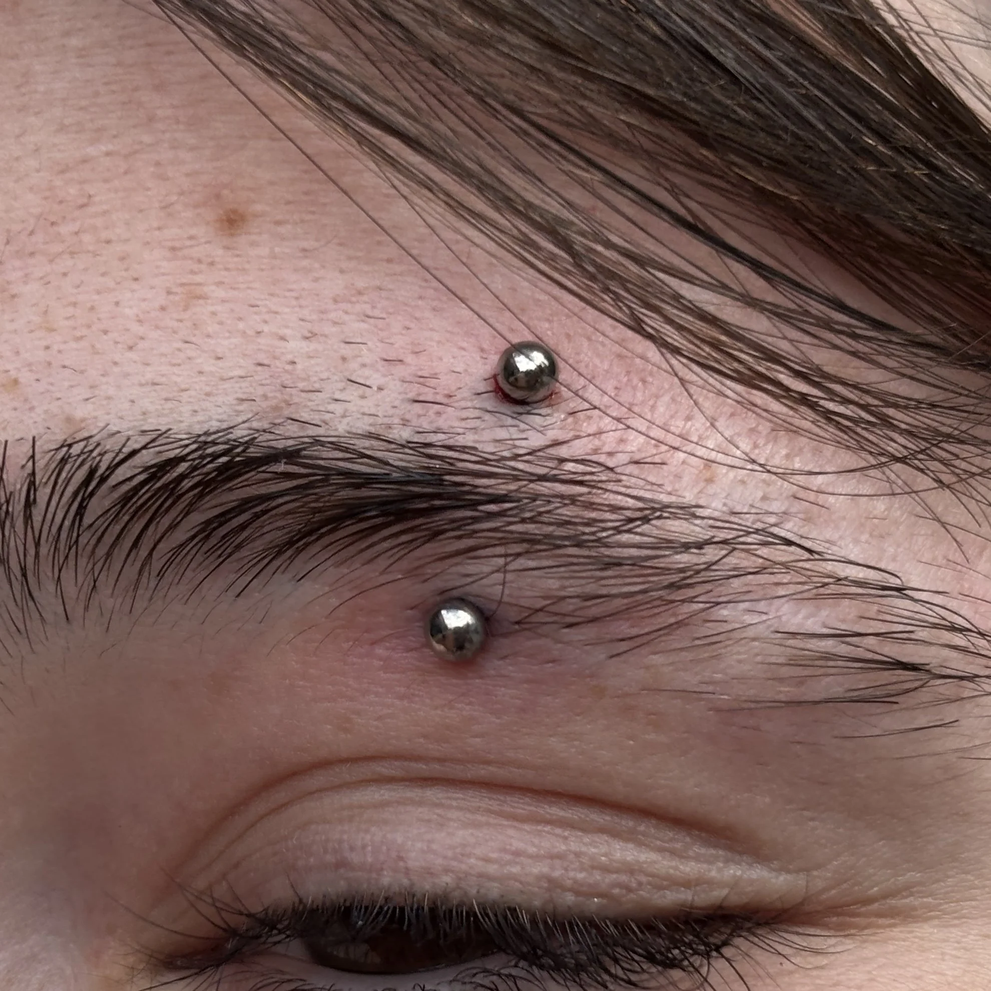 Fresh Eyebrow