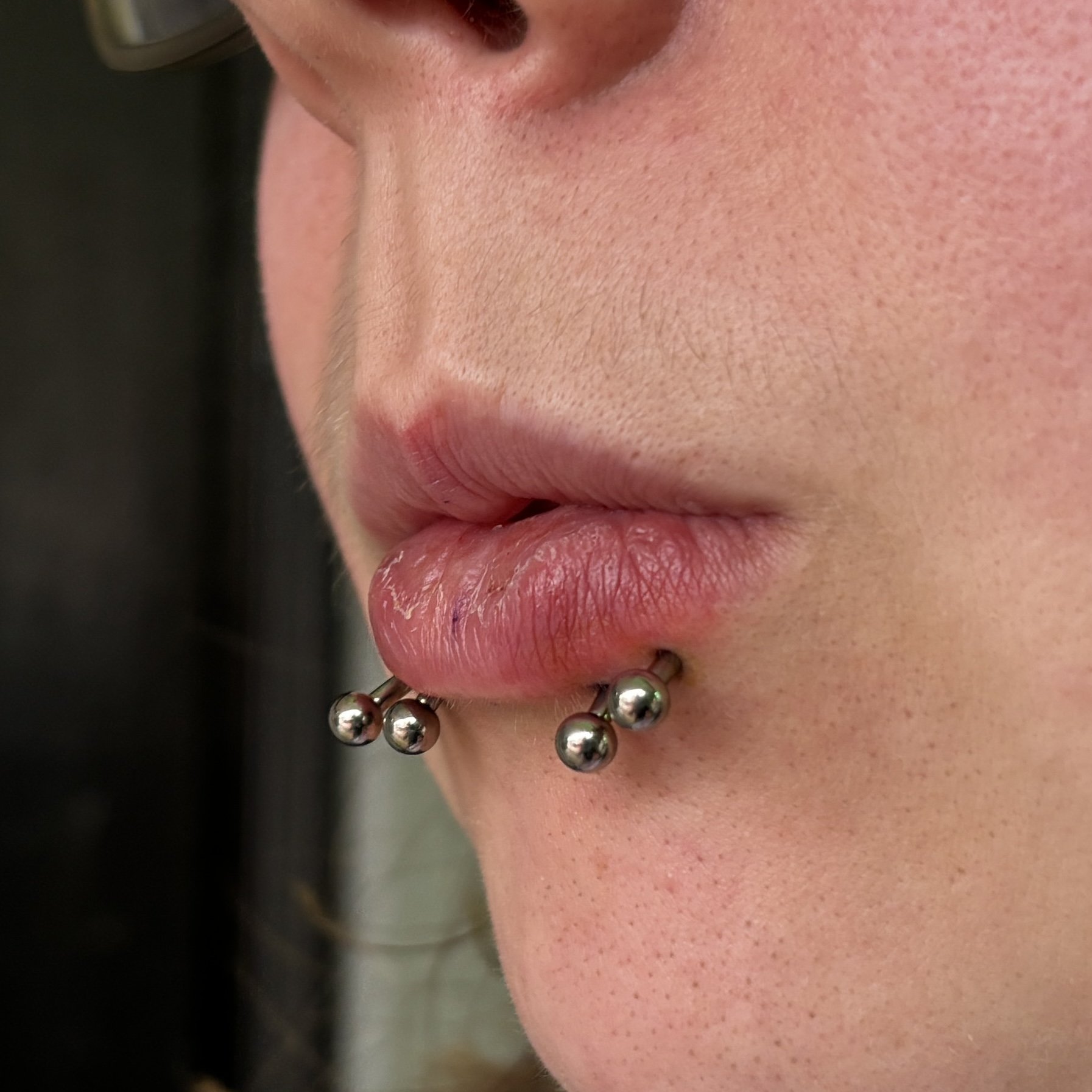 Fresh Quad Lower Lips