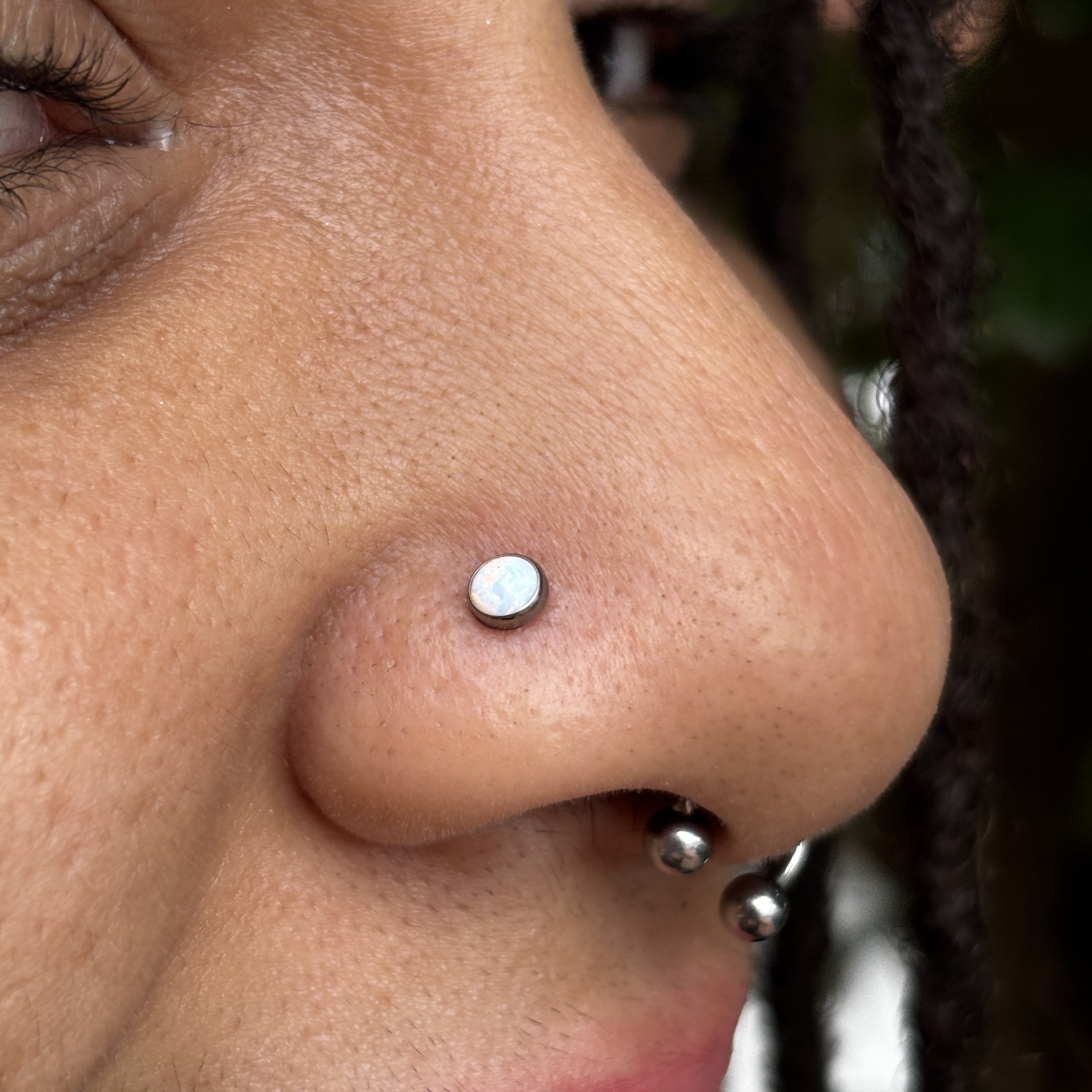 Nostril 4a.JPEG