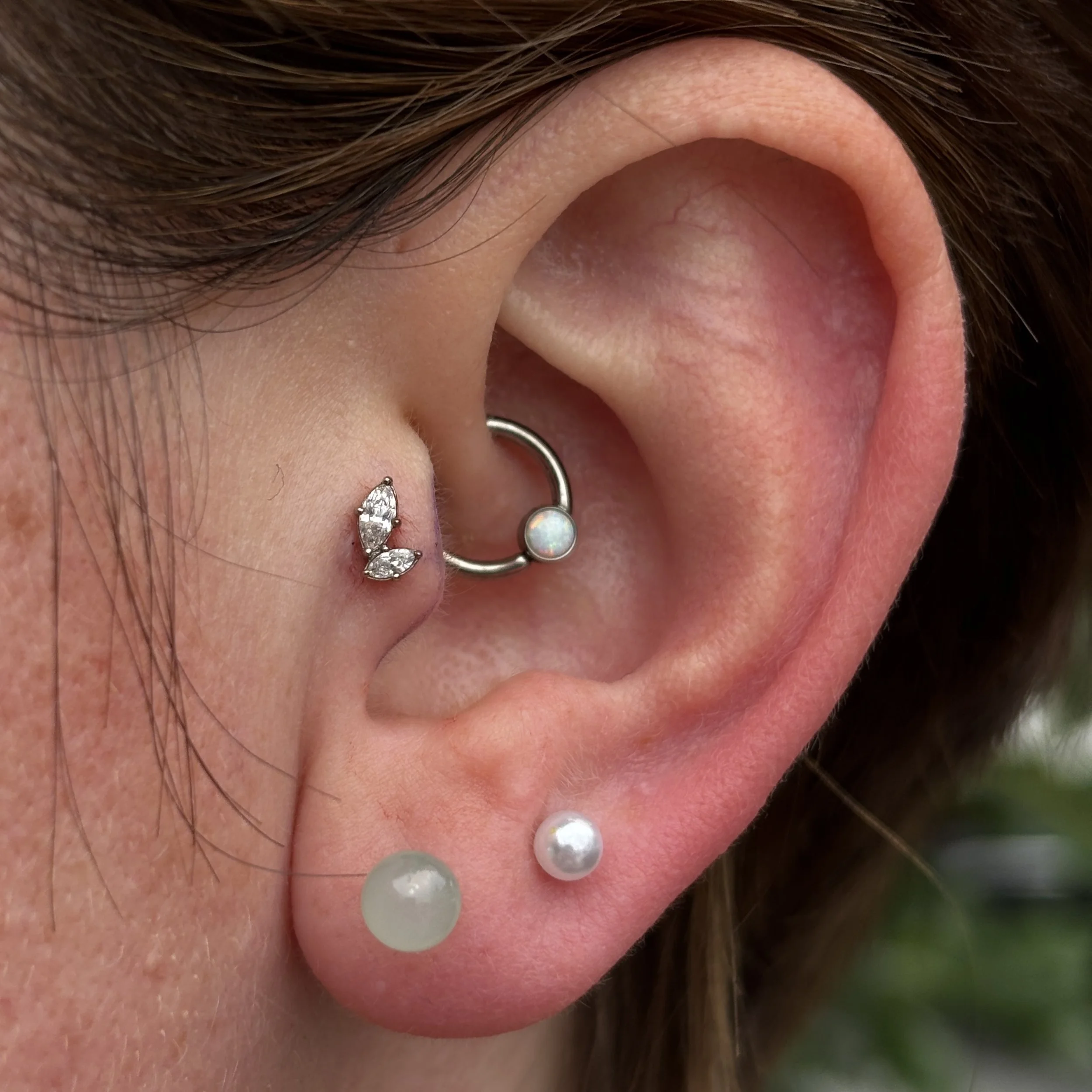 Tragus