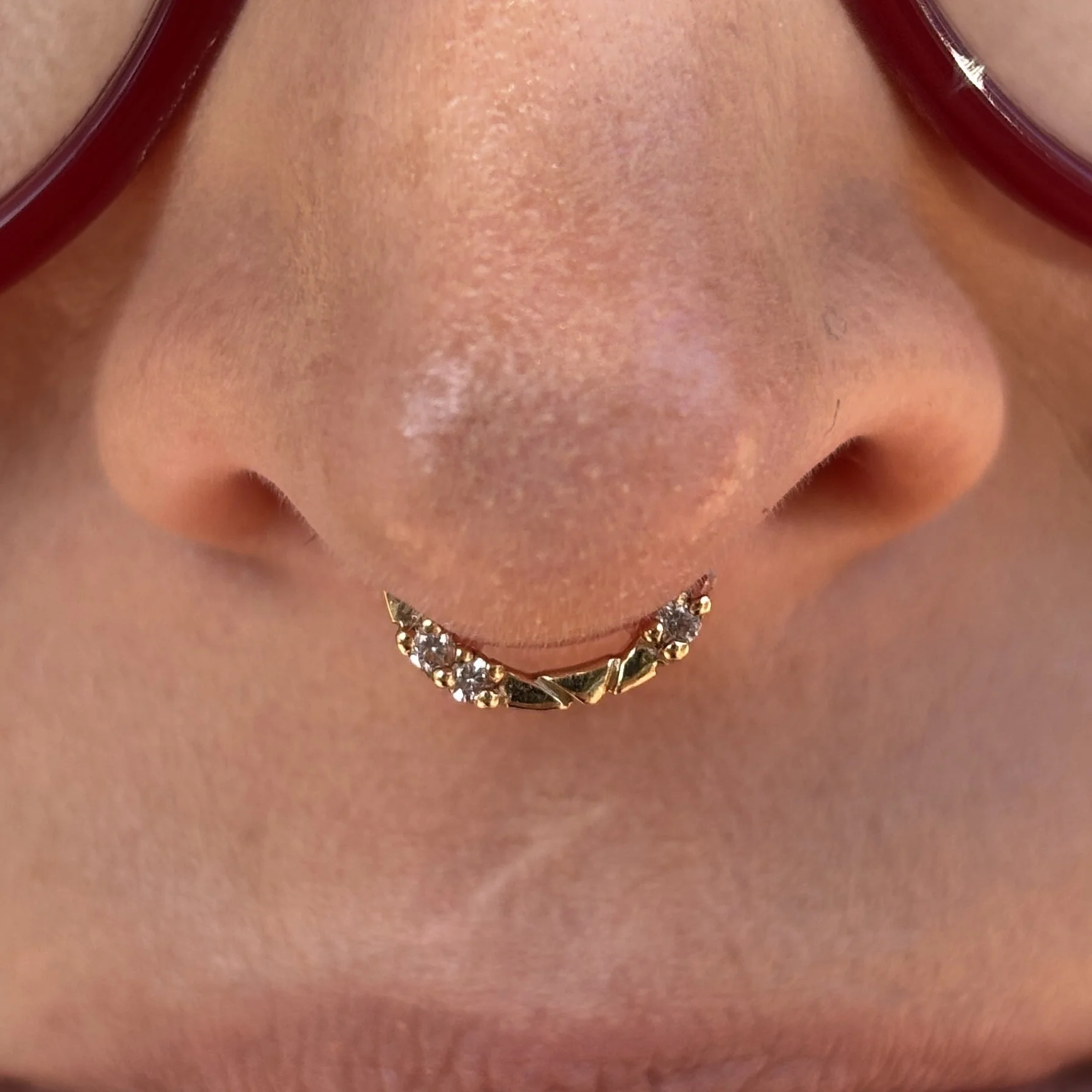 Septum 7a.JPEG