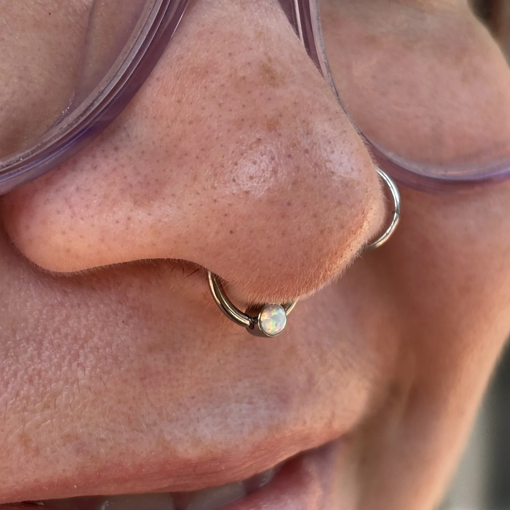 Septum 6b.JPEG