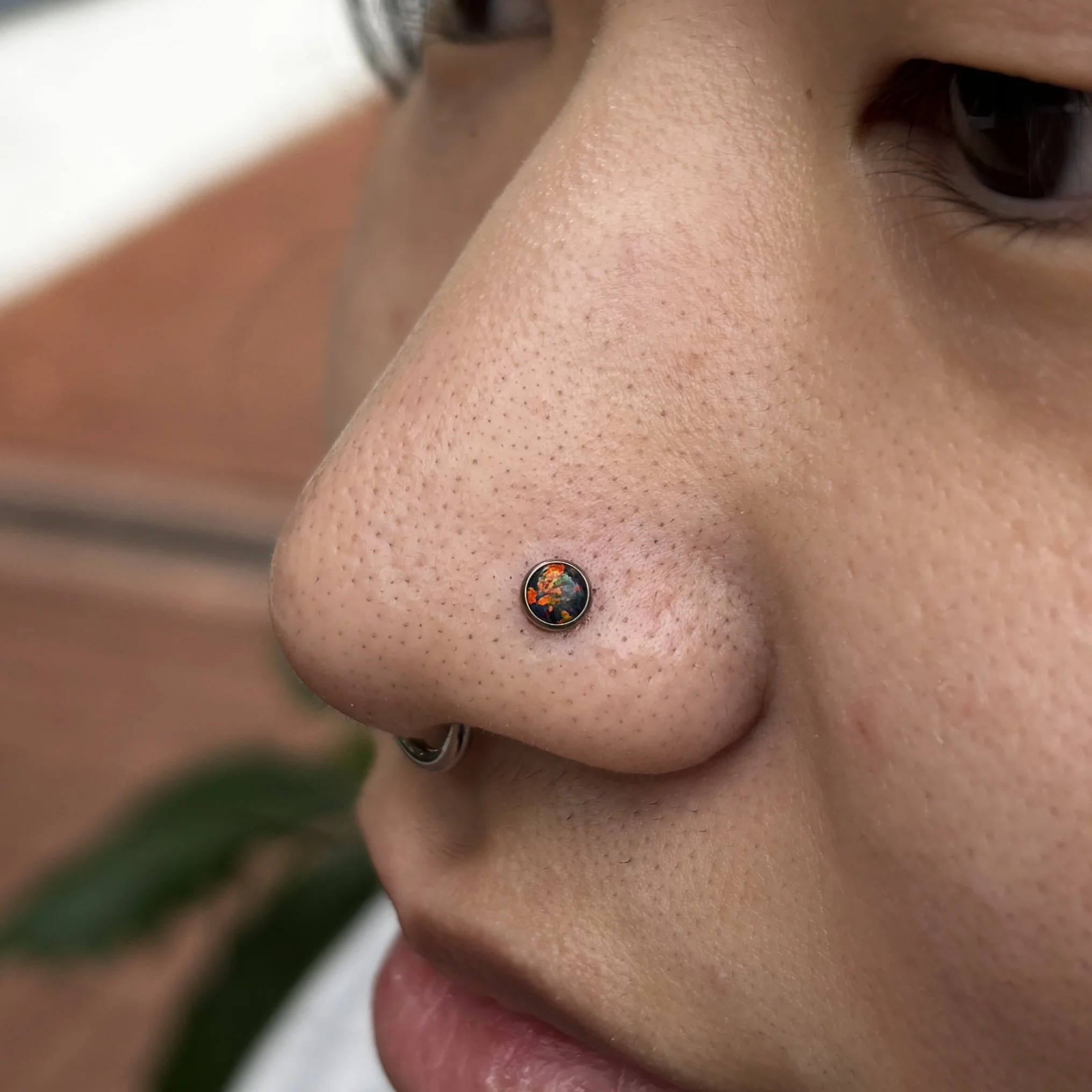 Nostril 3a.JPEG