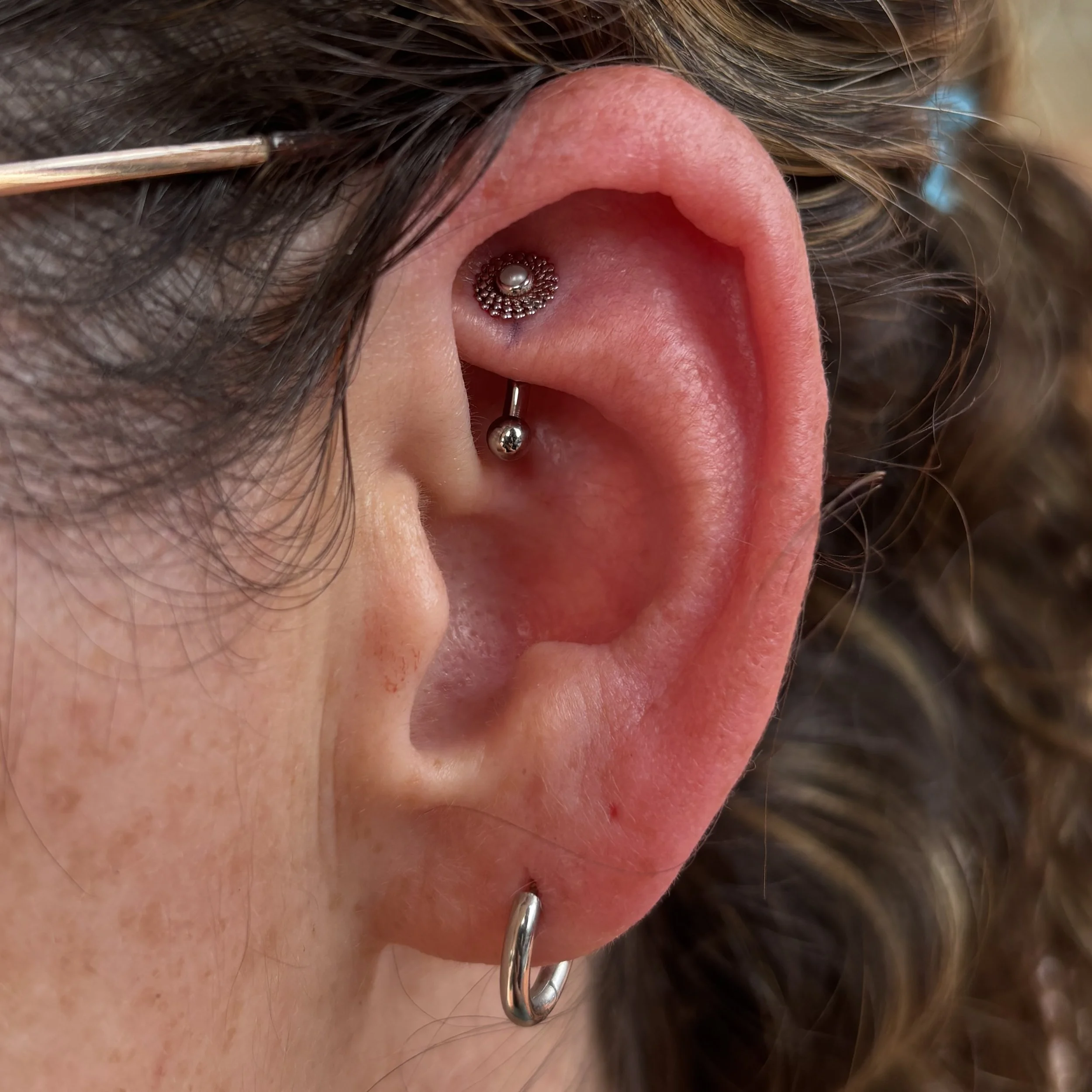 Rook