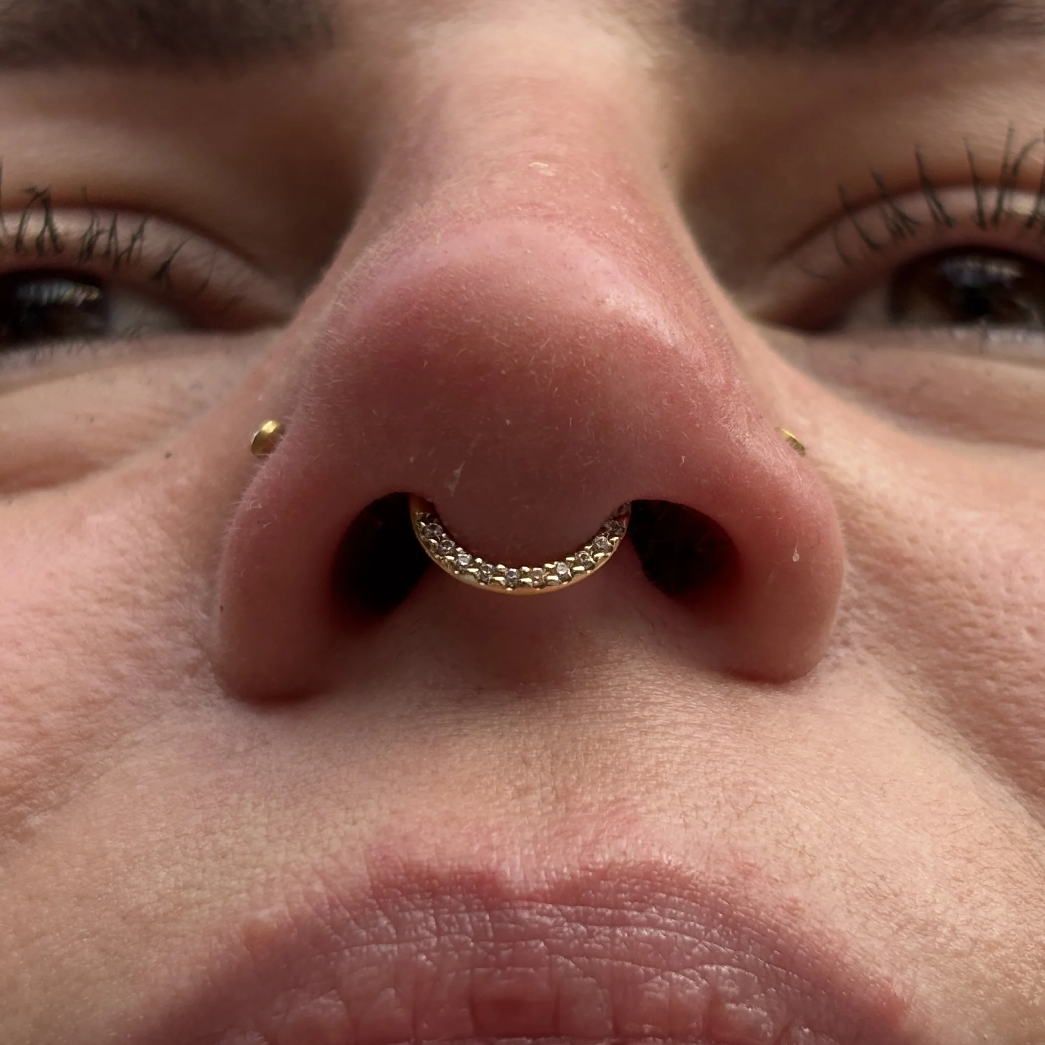 Septum 1b.JPEG