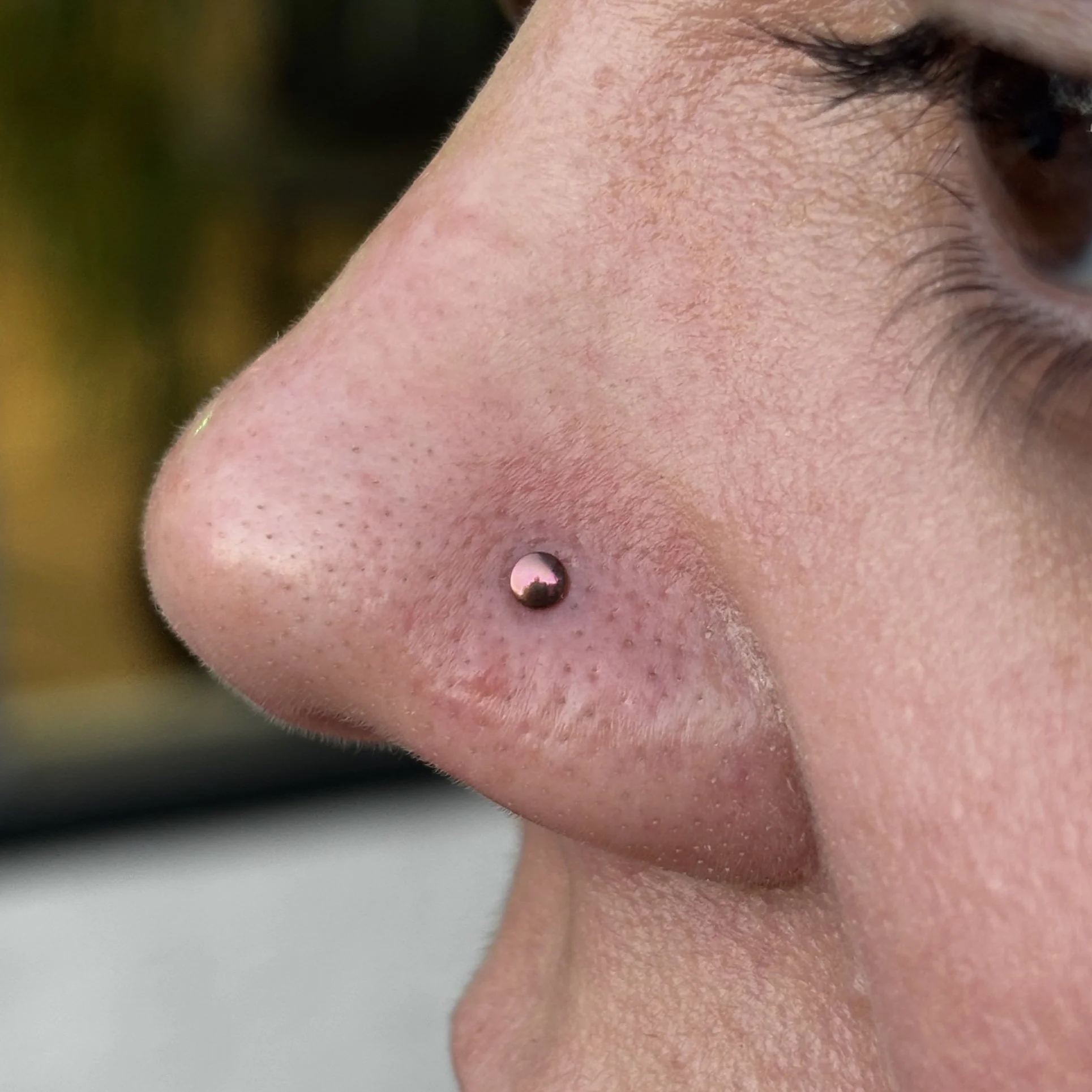 Paired Nostrils