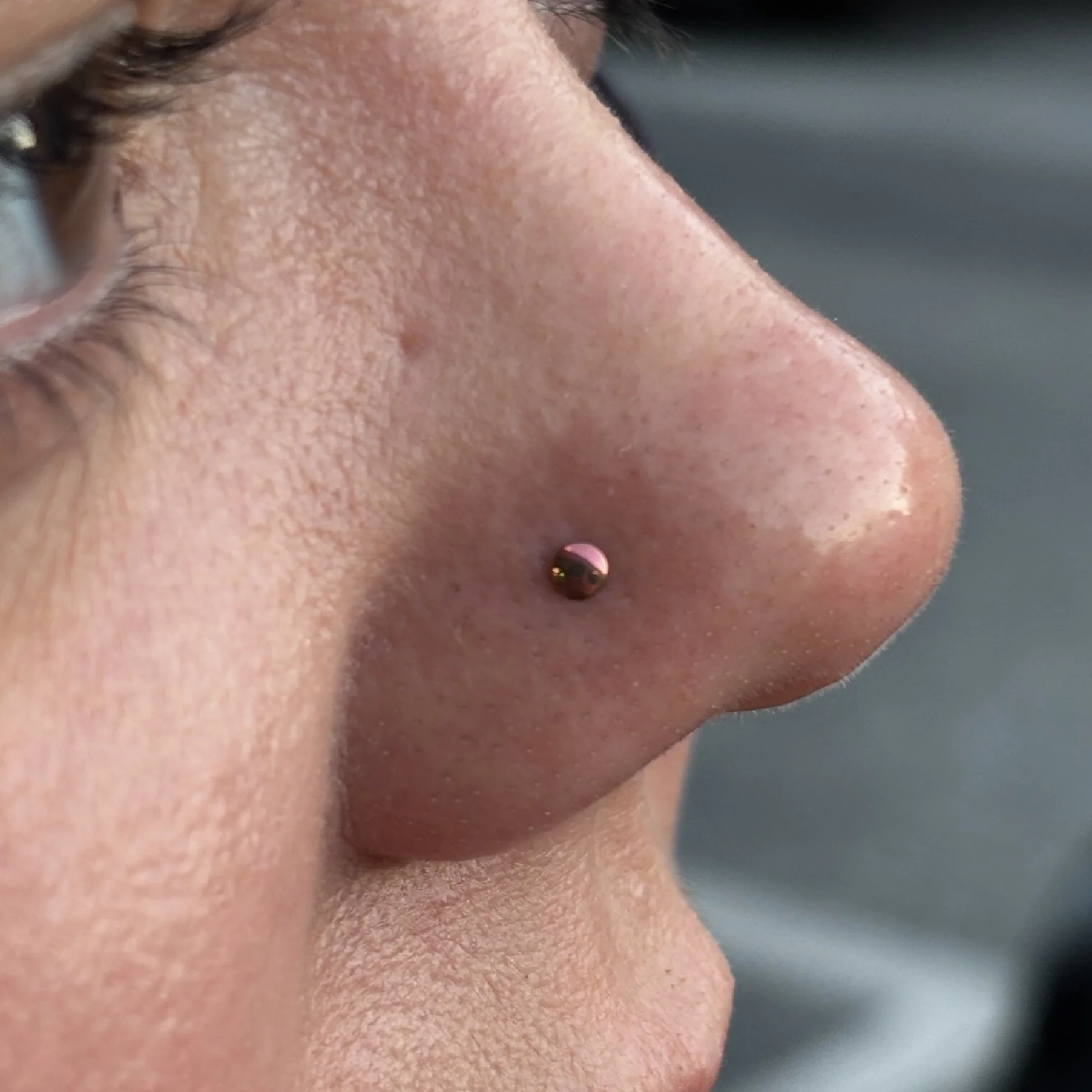 Paired Nostrils