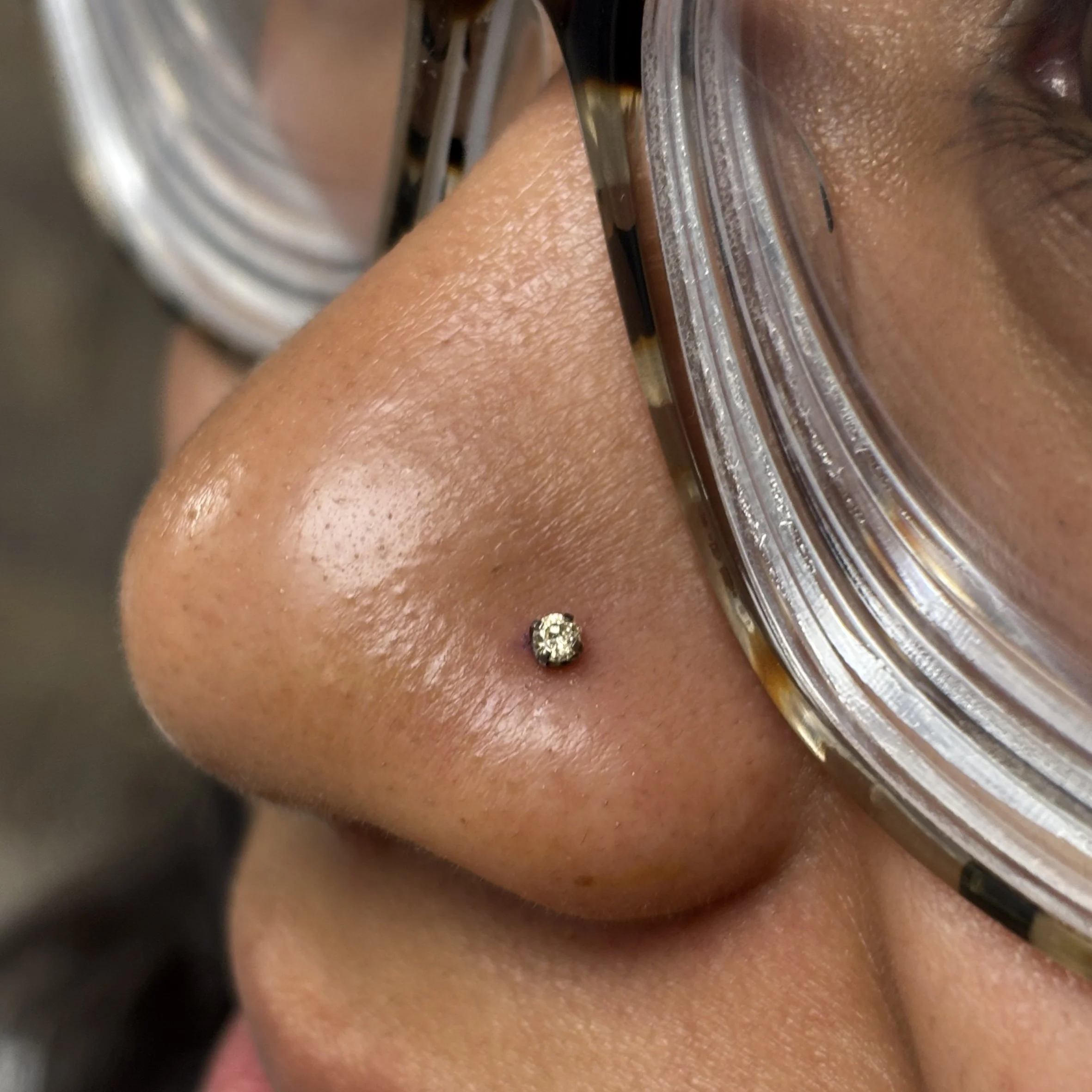 Nostril 1a.JPEG