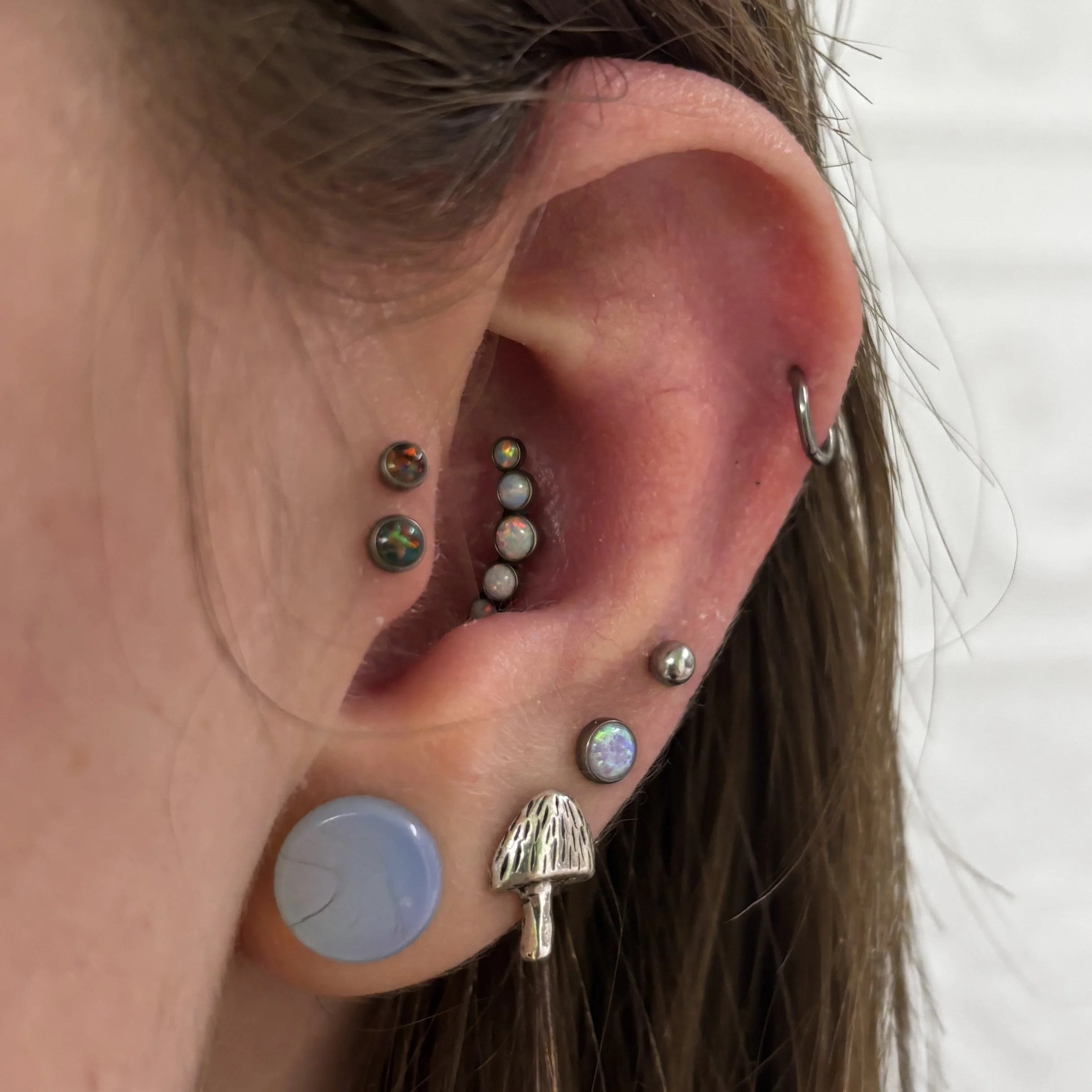 Fresh Double Tragus & Healed Conch