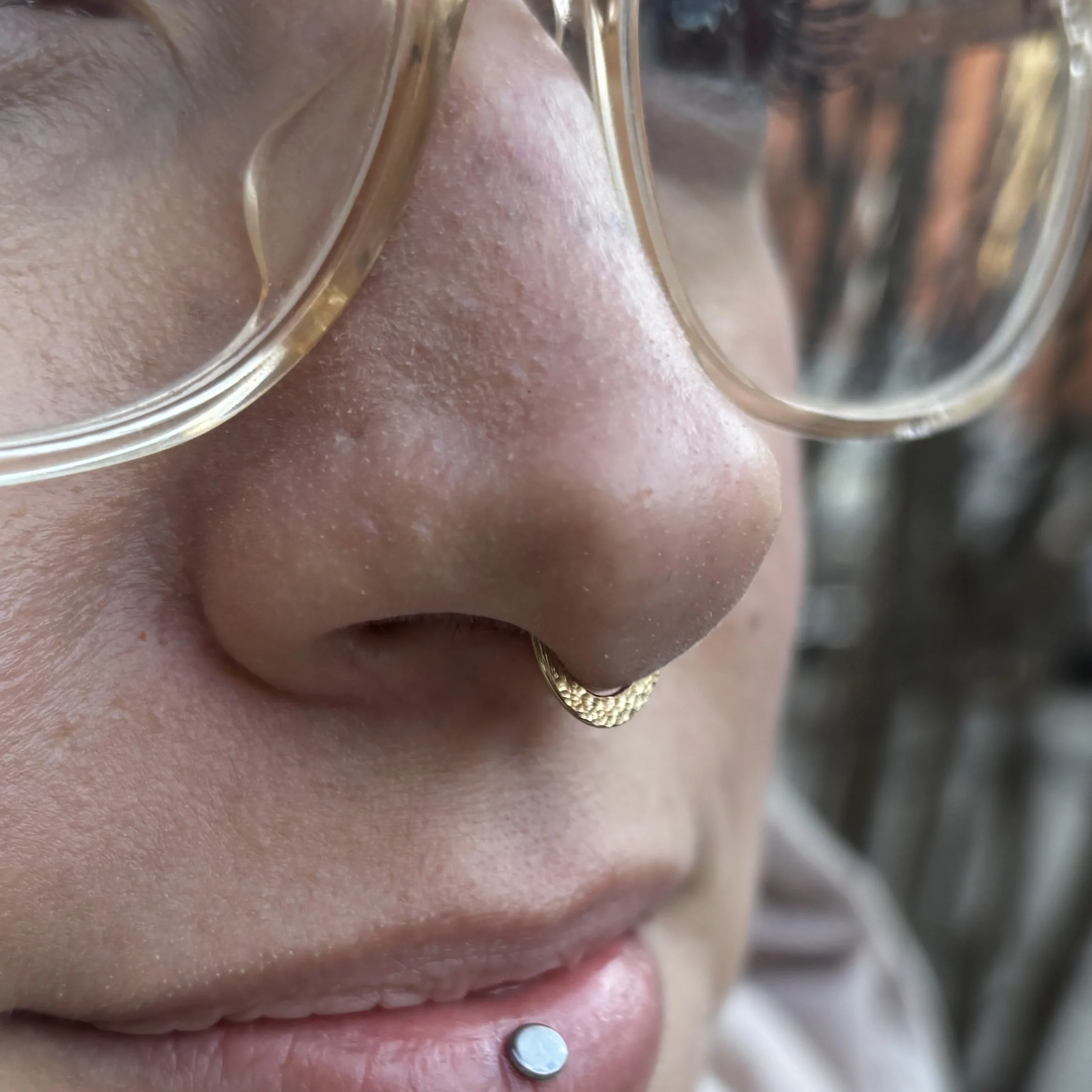 Septum 1b.JPEG