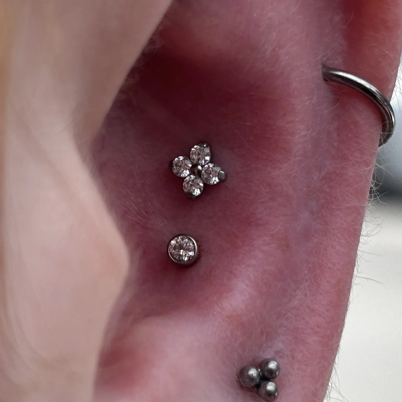 Double Conch