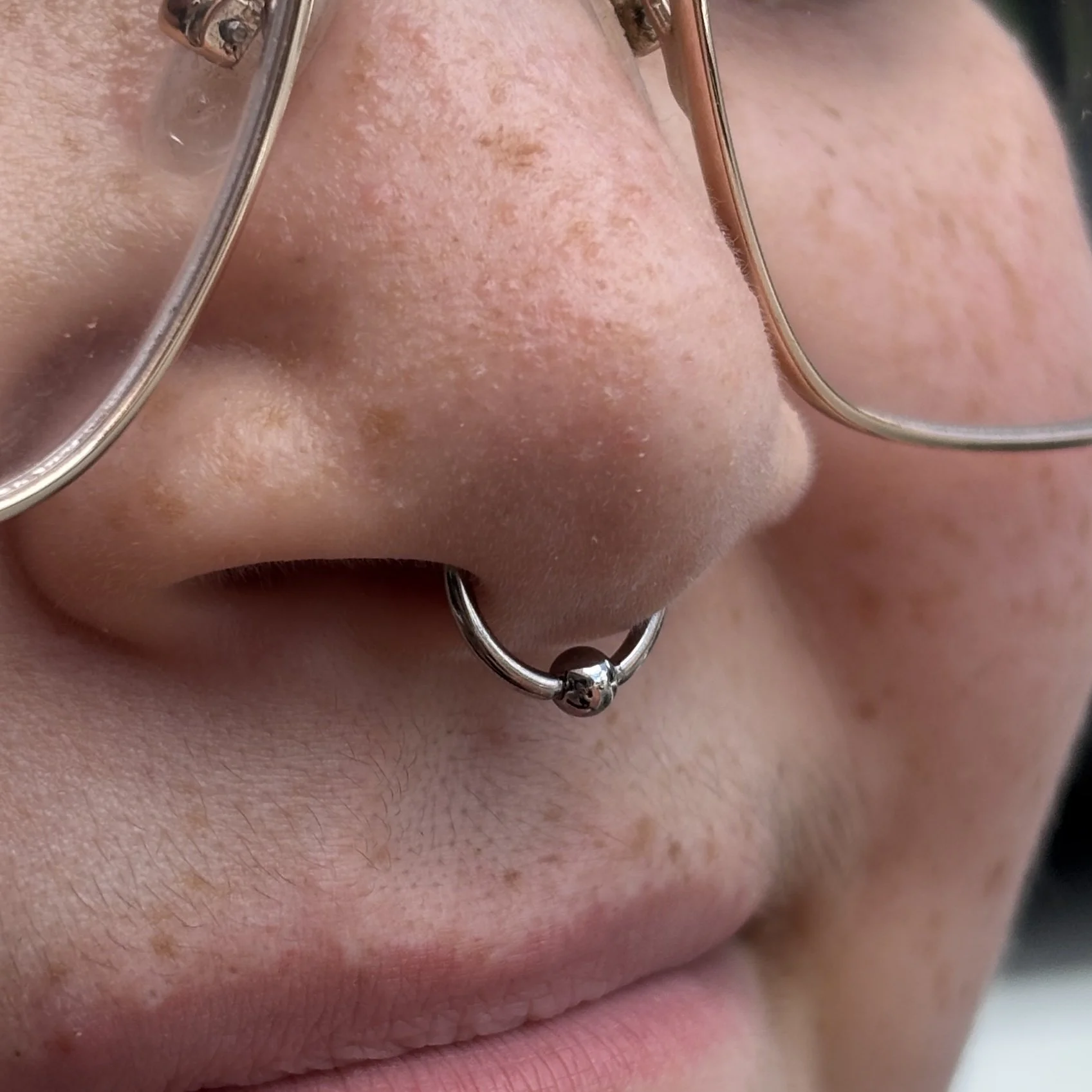Septum 4b.JPEG