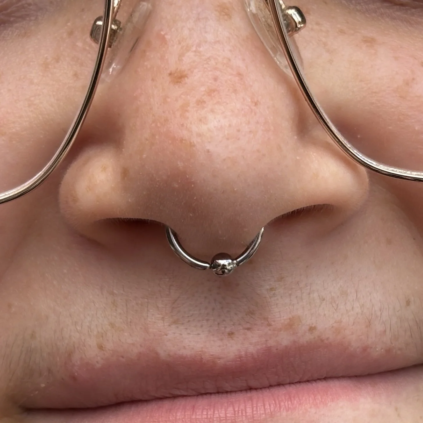 Septum 4a.JPEG