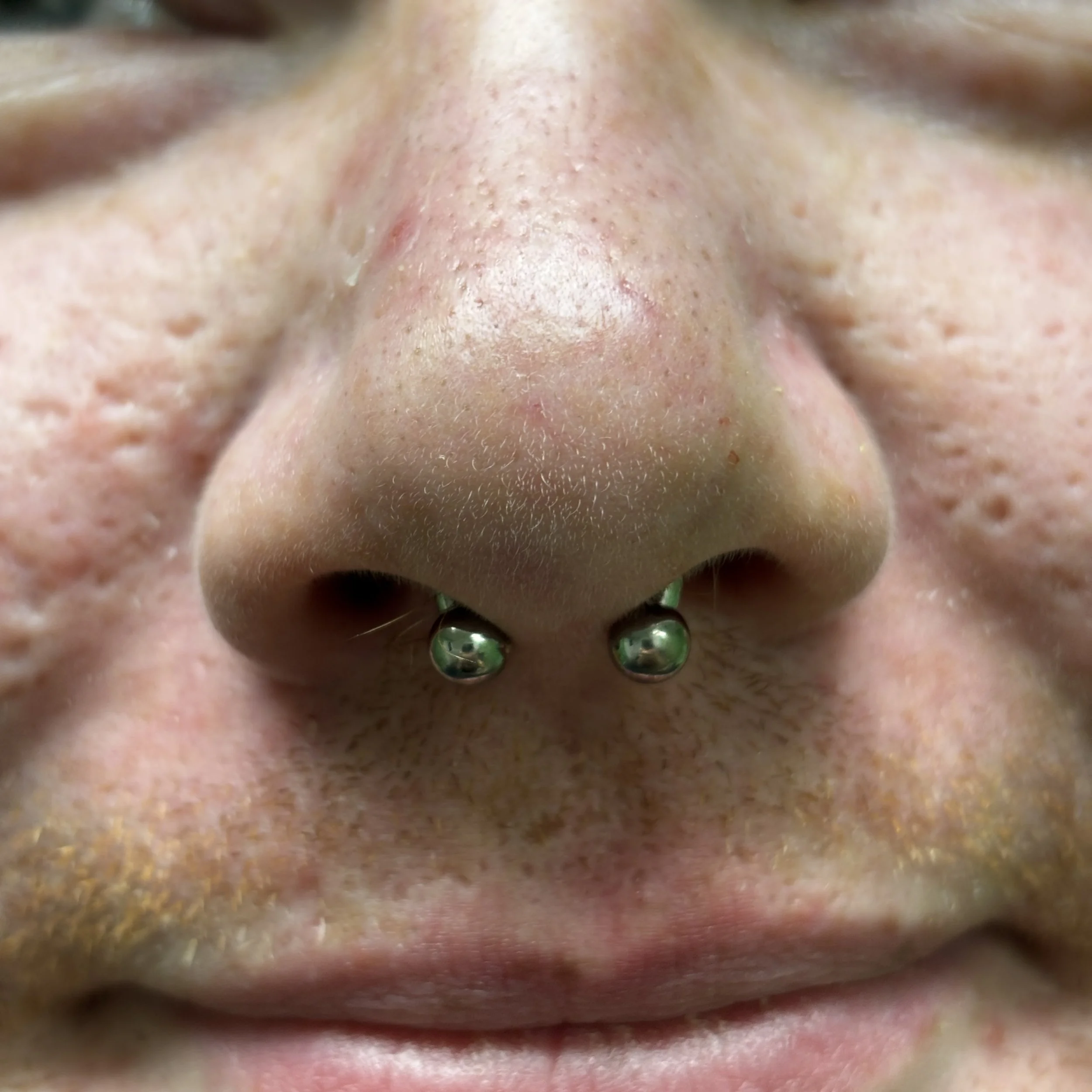 Septum 10c.JPEG