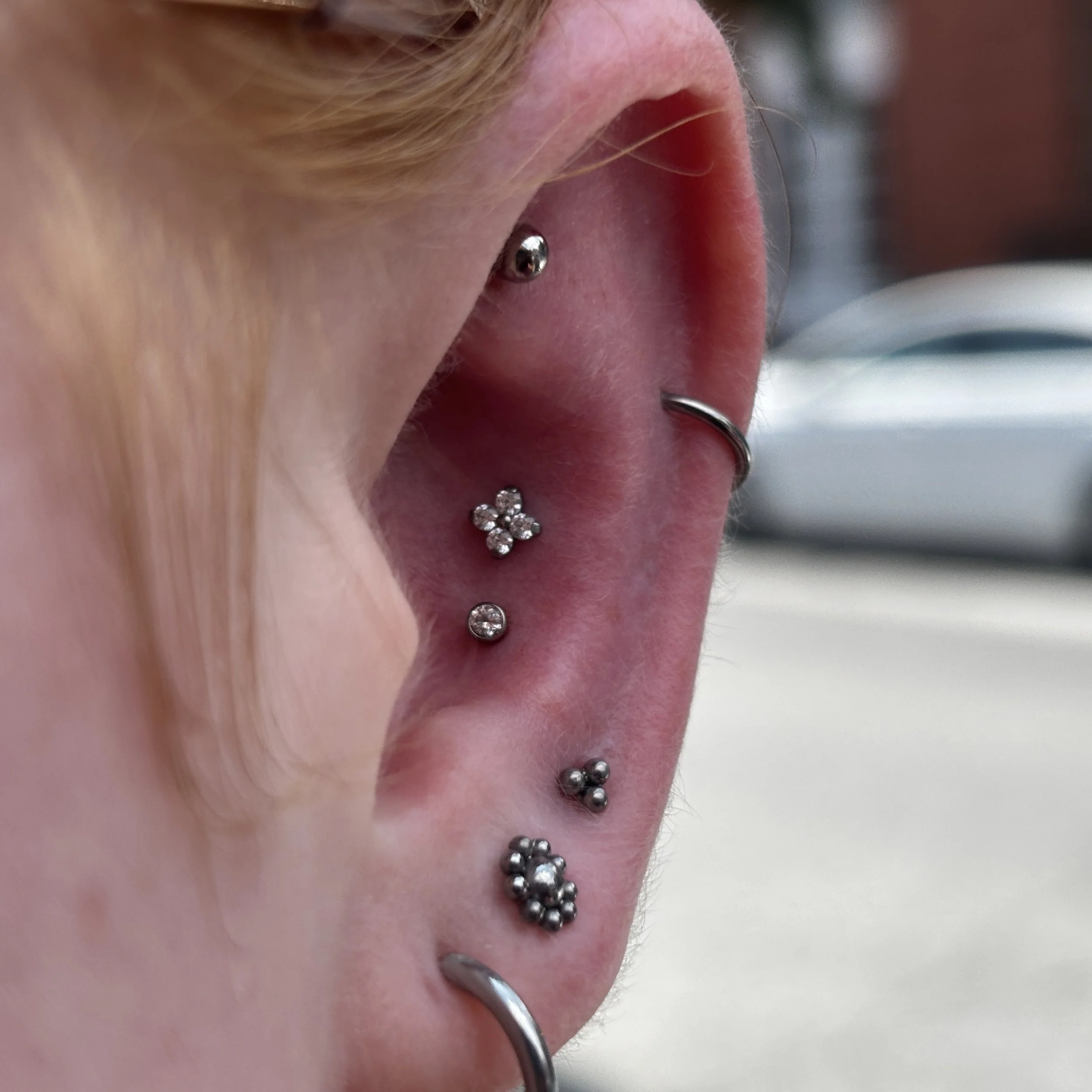 Double Conch