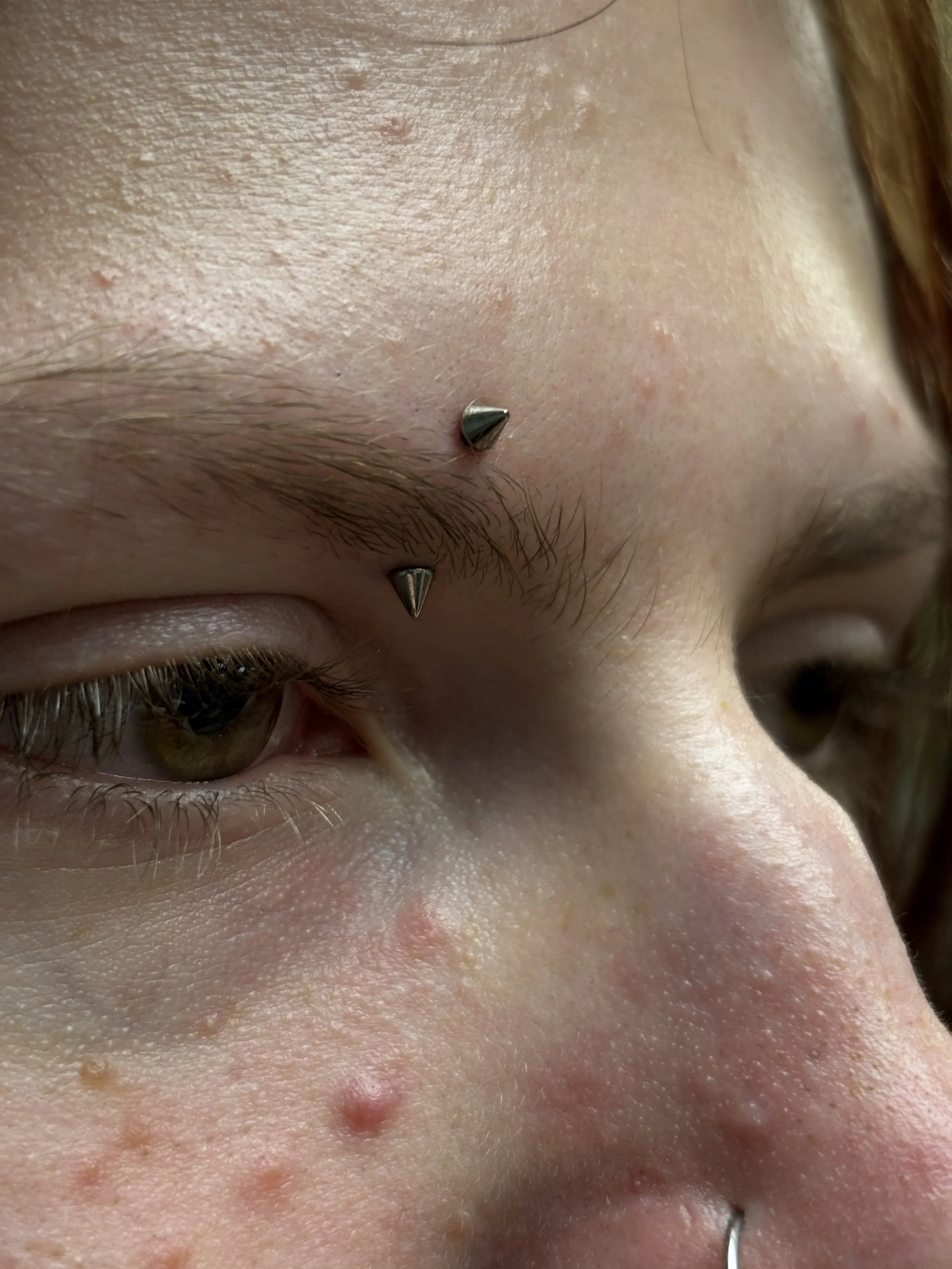Fresh Inner Eyebrow