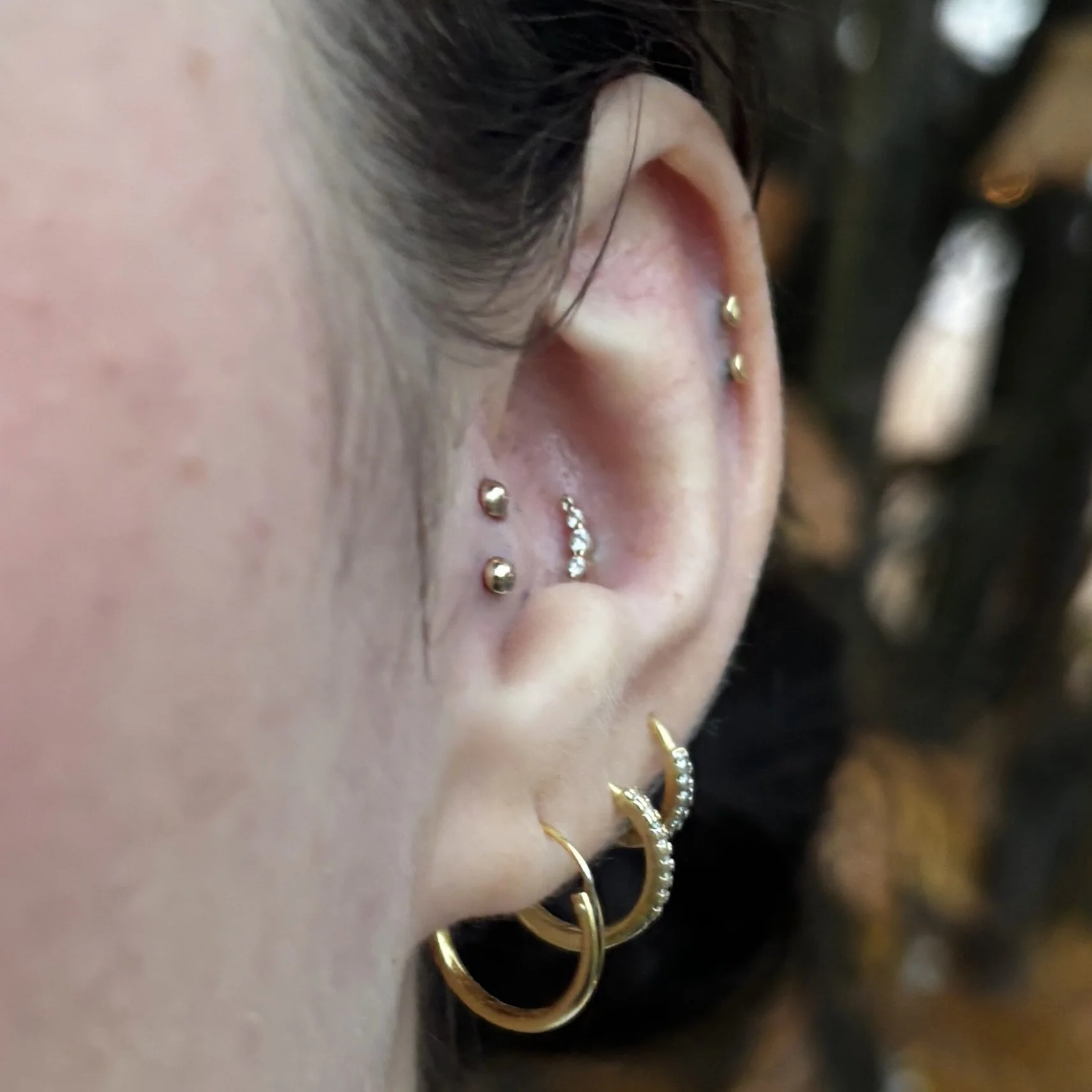 Double Tragus