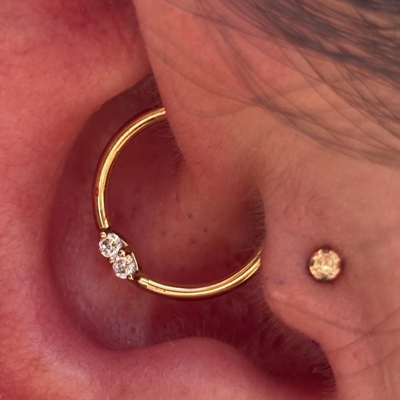 Daith & Tragus