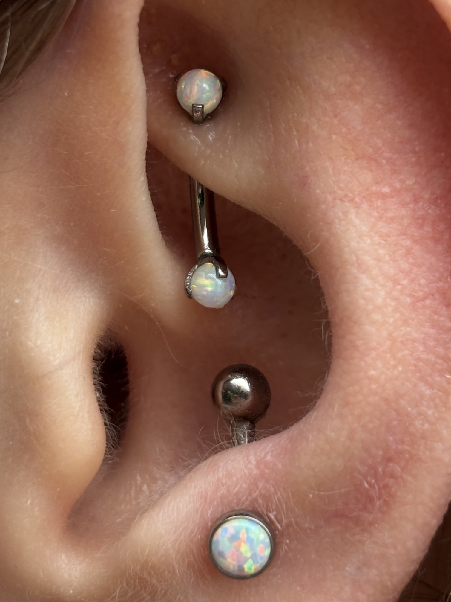 Healed Anti-Tragus & Rook