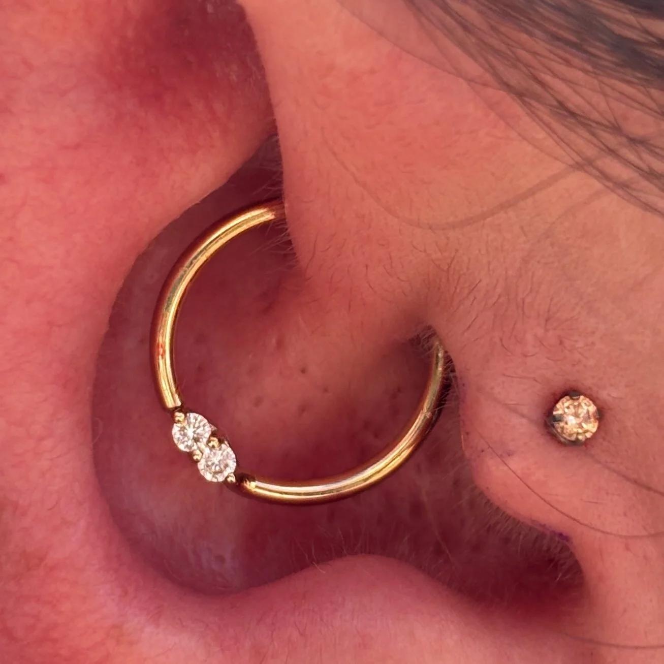 Daith & Tragus
