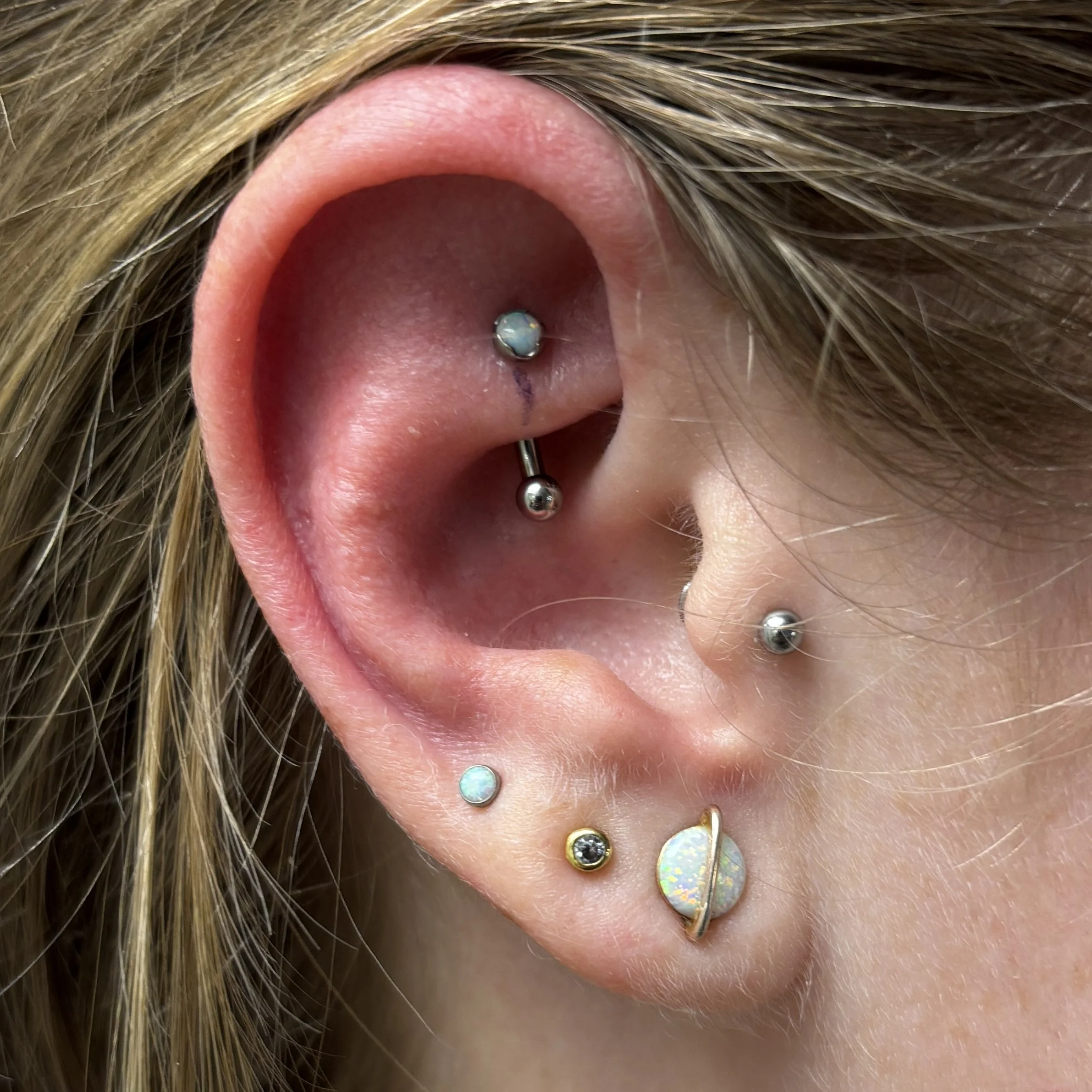 Rook