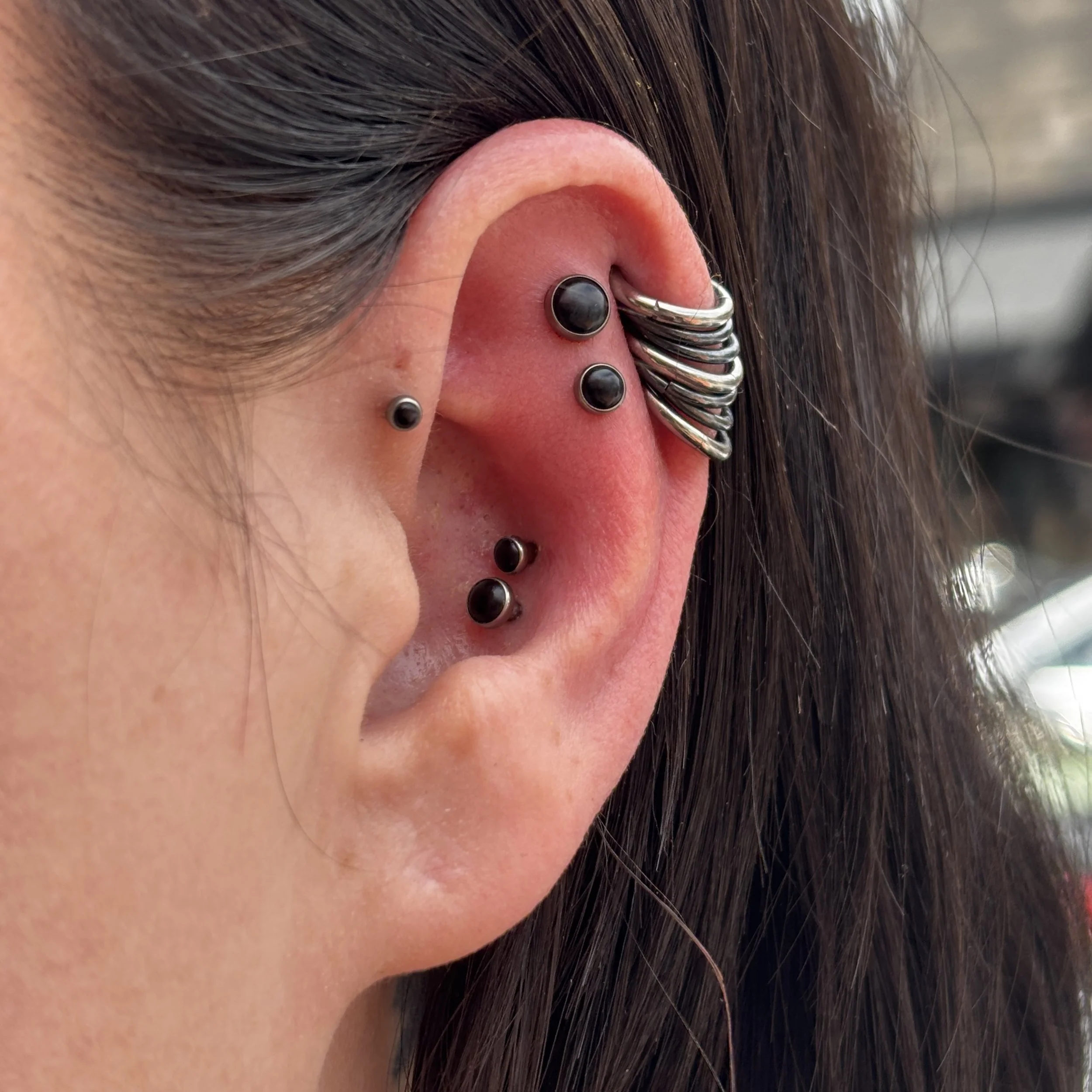 Fresh Double Flat & Healed Double Conch