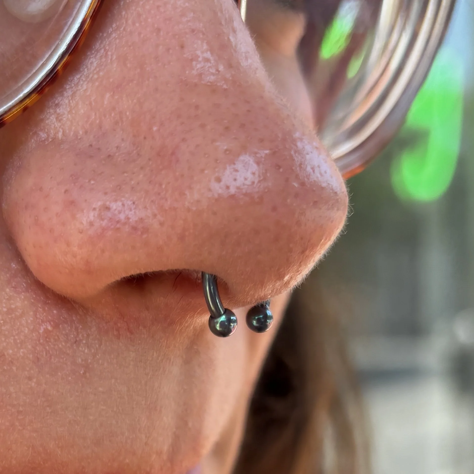 Septum 5b.JPEG