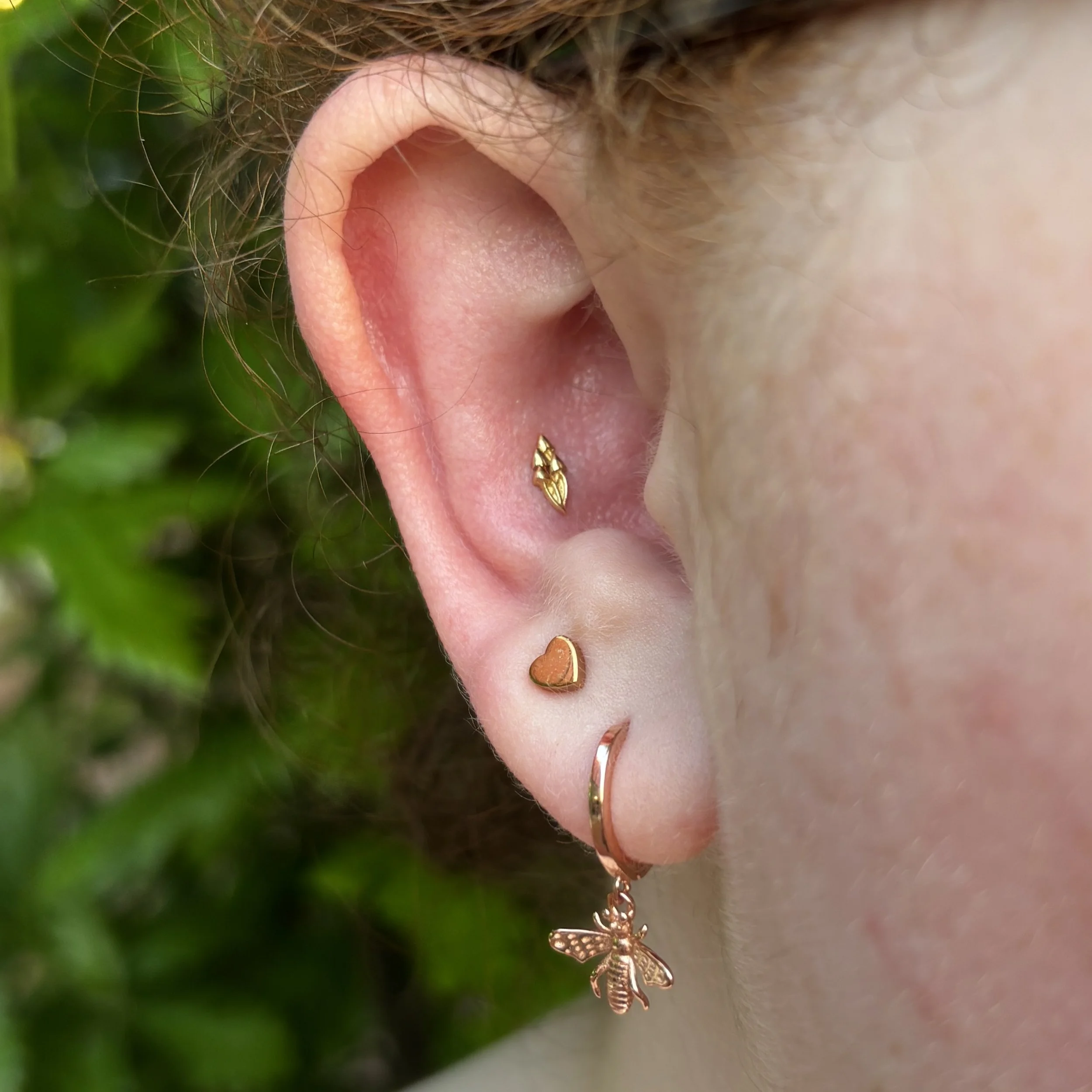 Conch