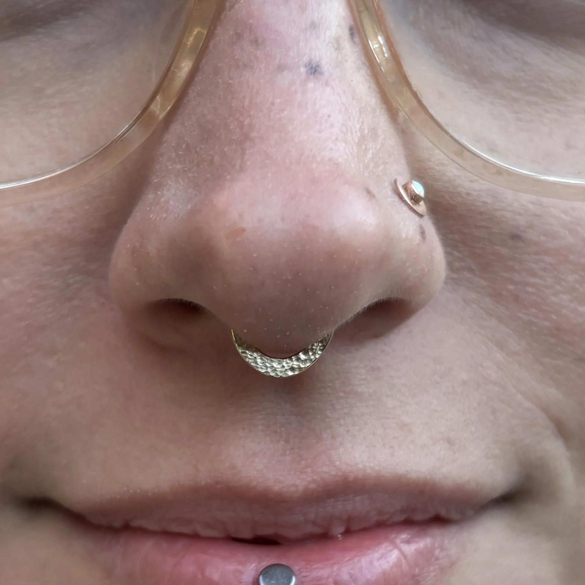 Septum 1a.JPEG