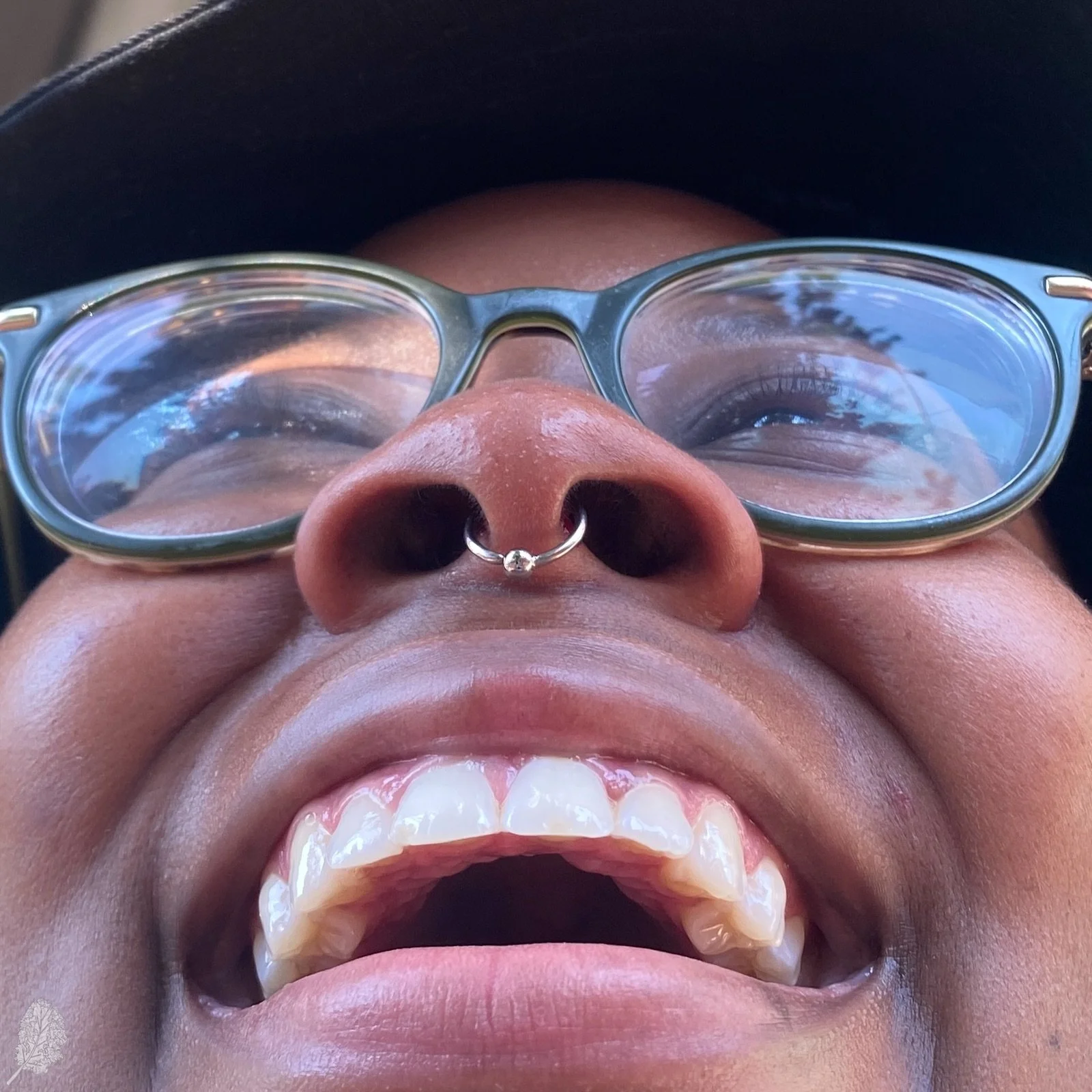 Septum 8b.jpg