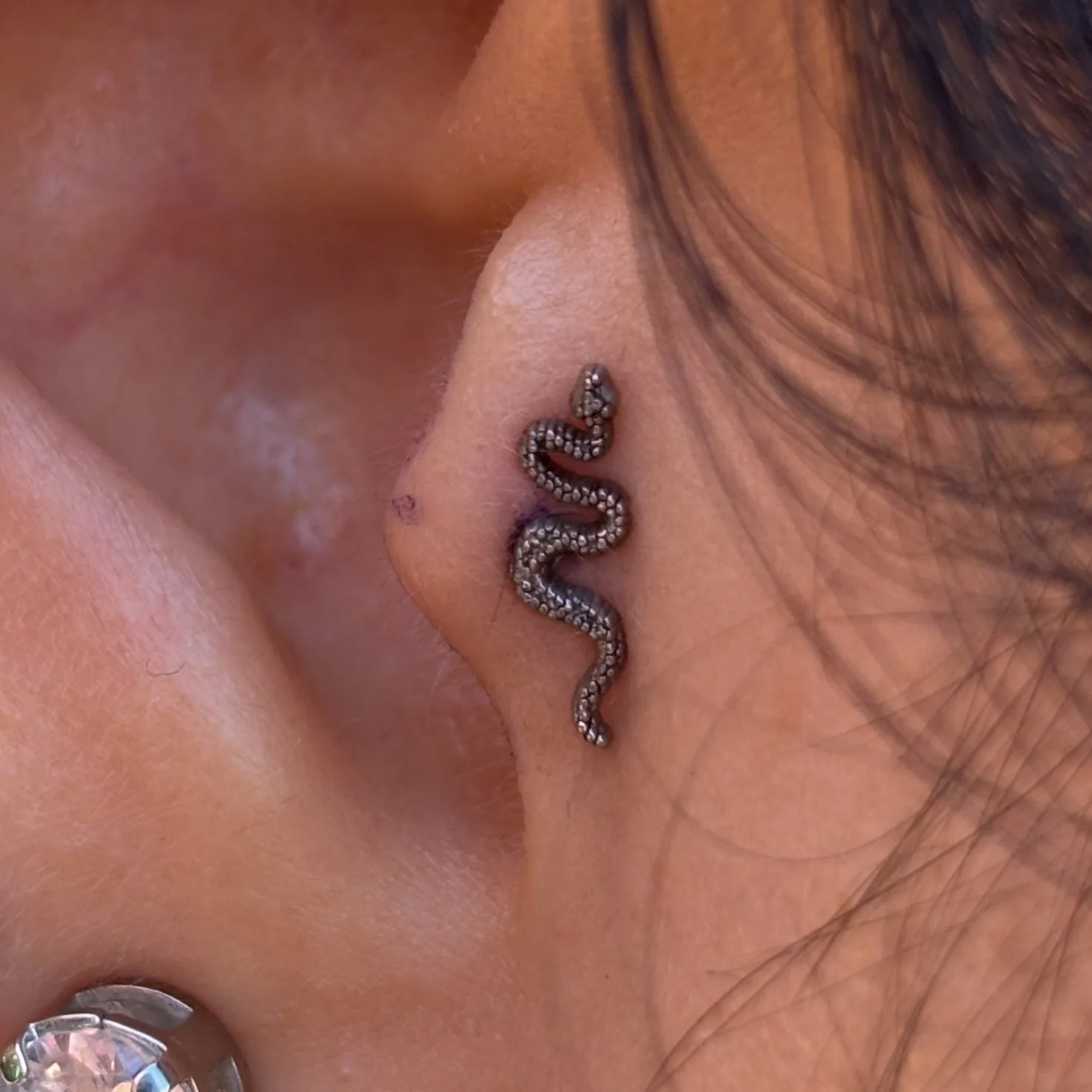 Tragus