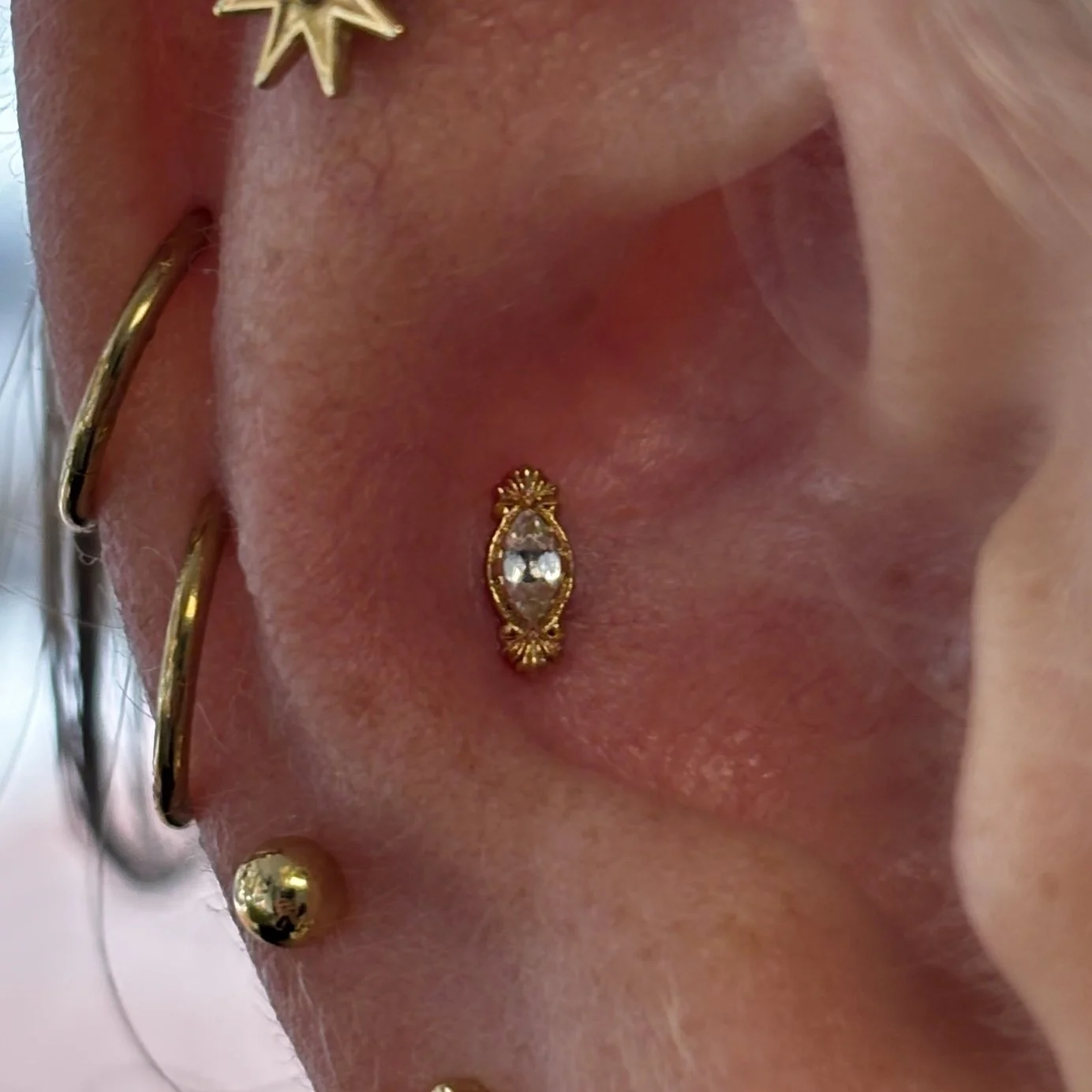 Conch