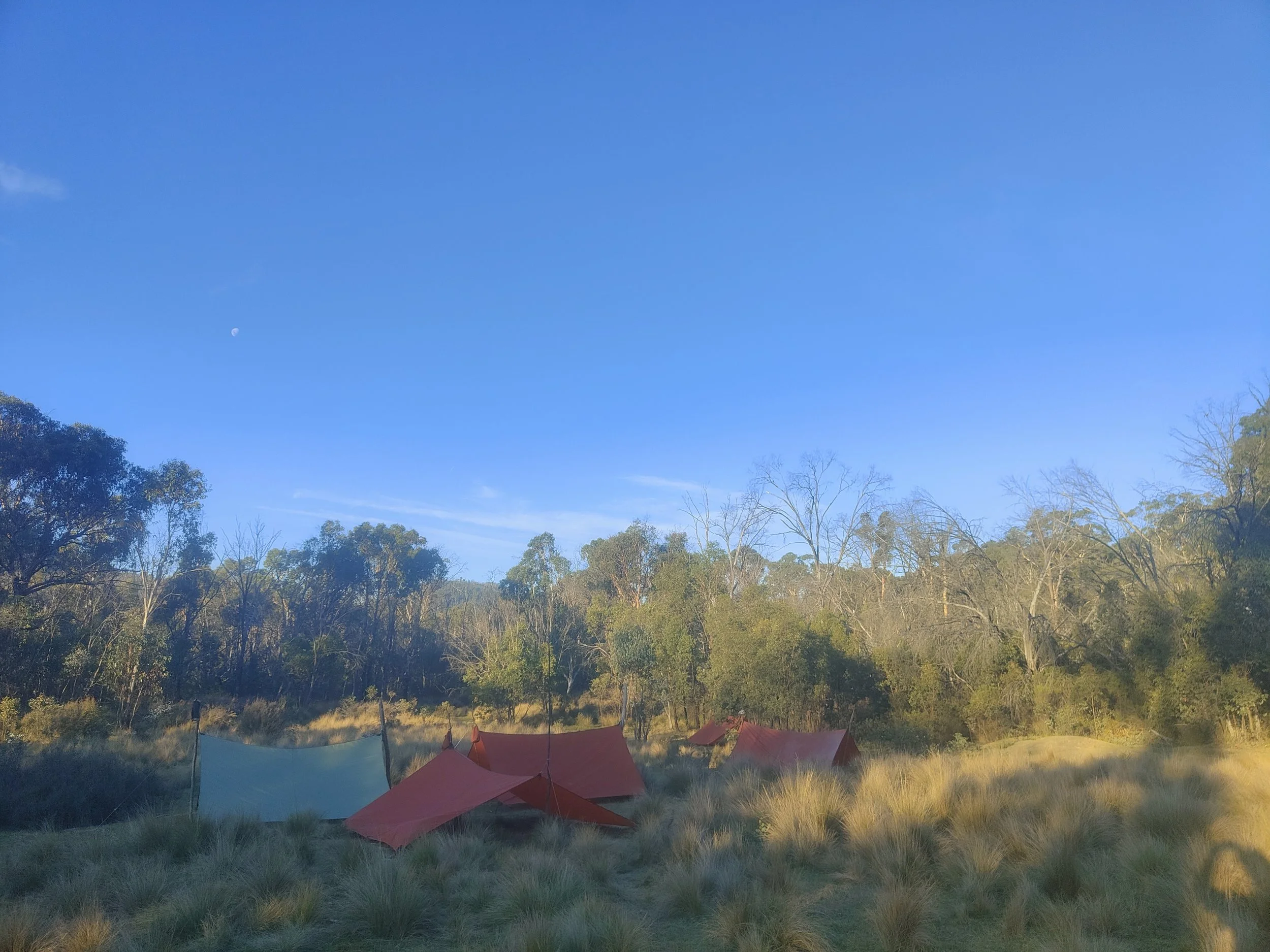 Australian outback