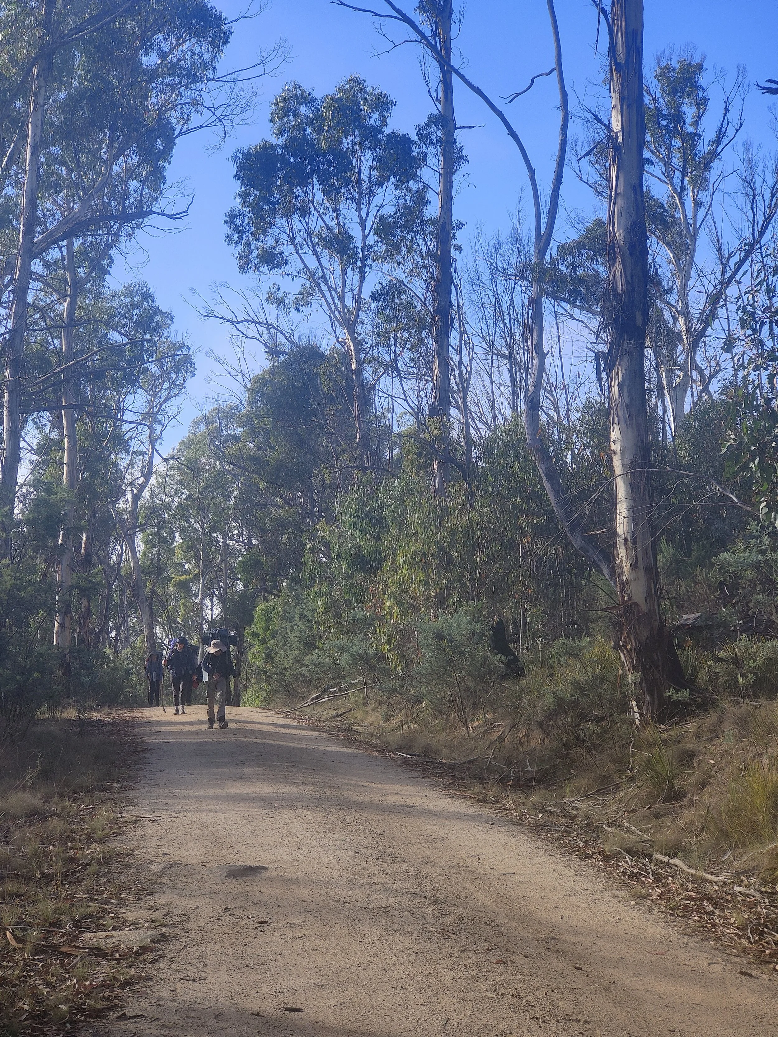 Australian outback