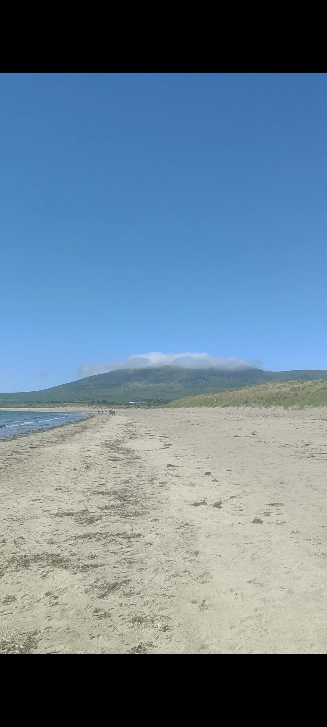 DIngle way