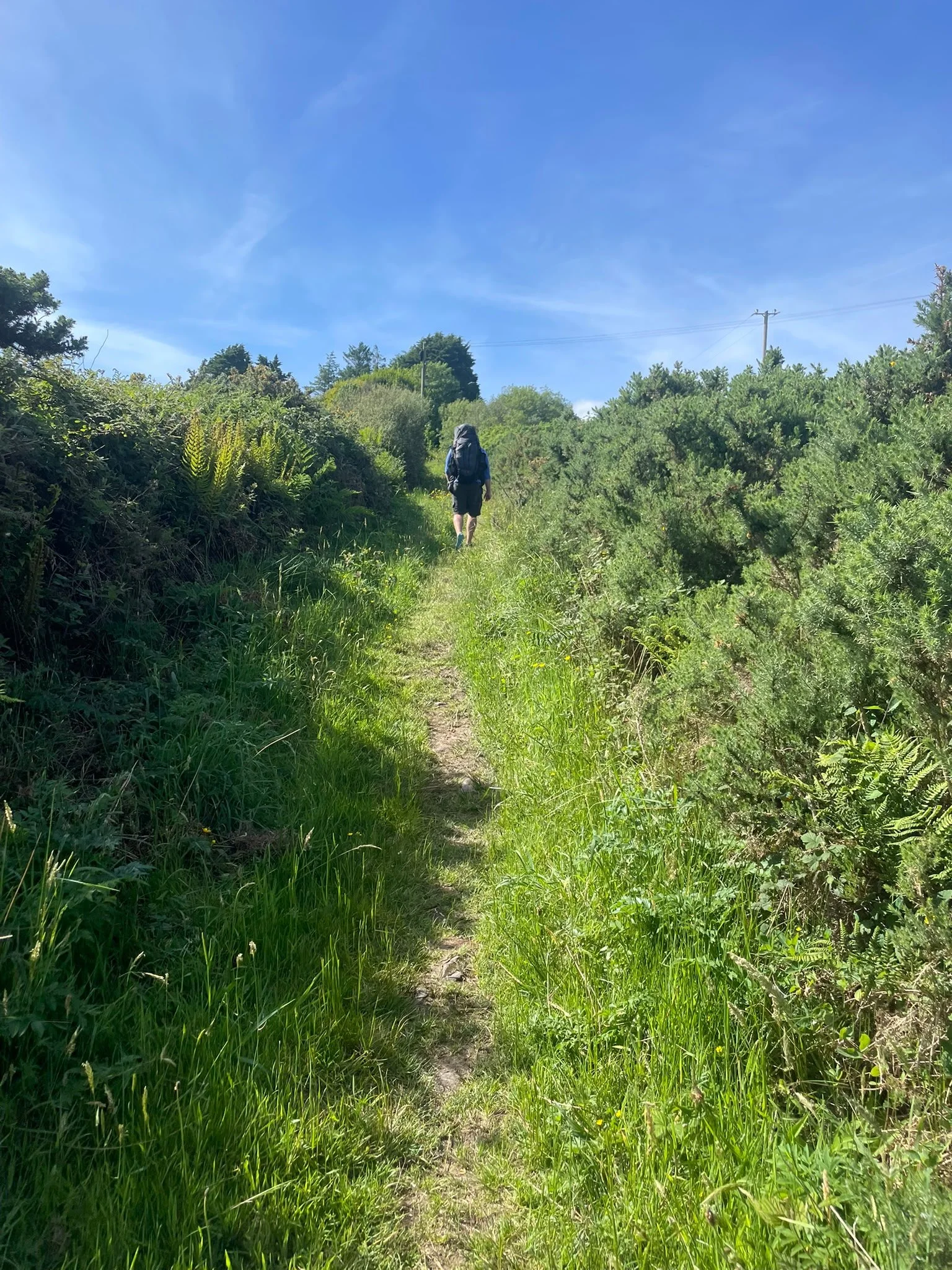 Dingle way