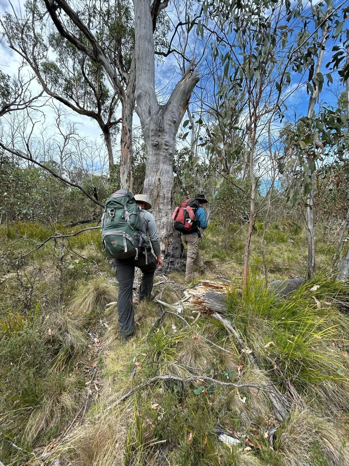 Australian Outback
