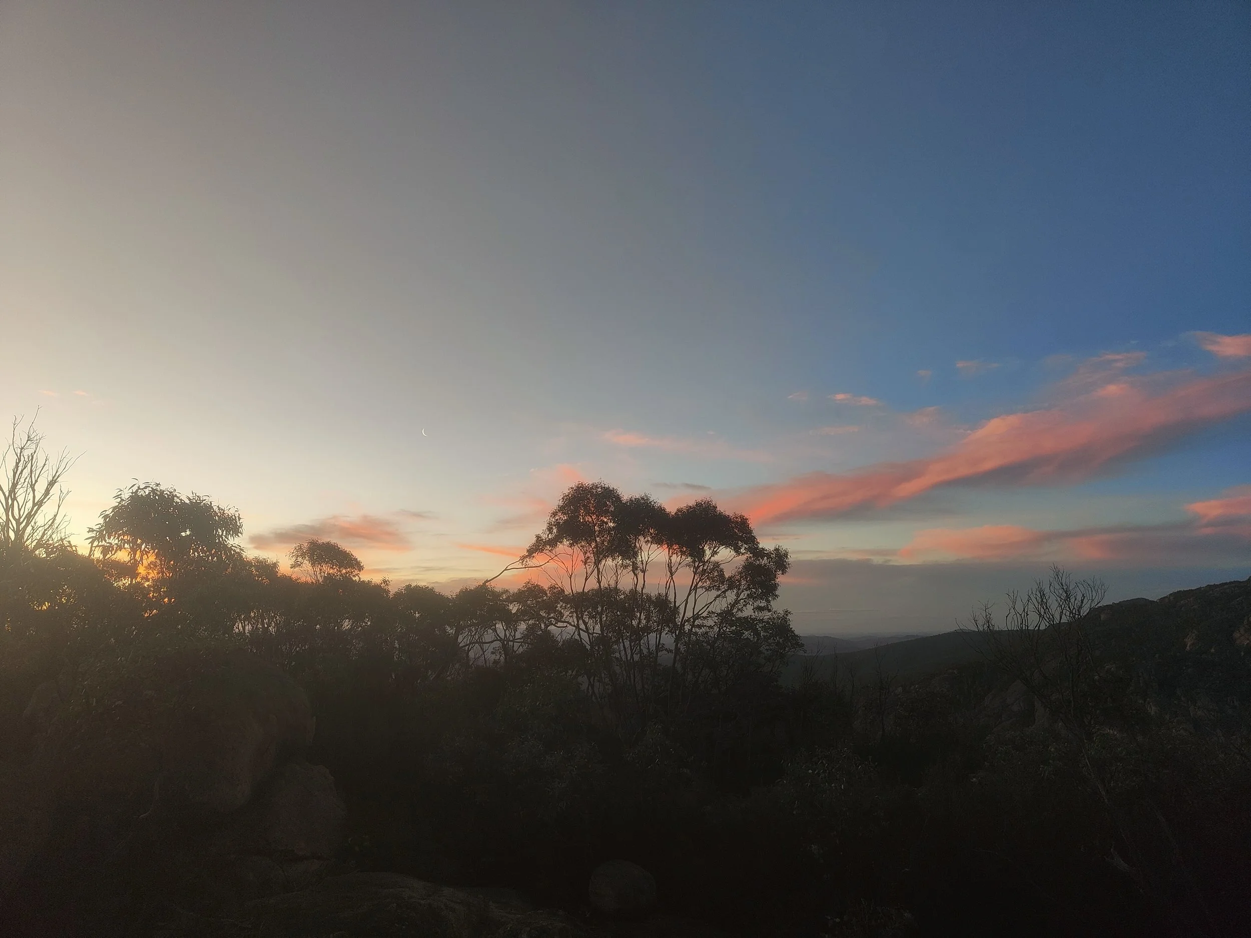 Jungle sunset