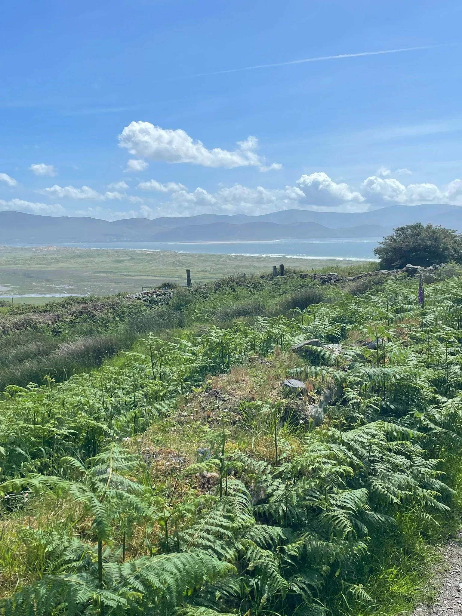Co. Kerry
